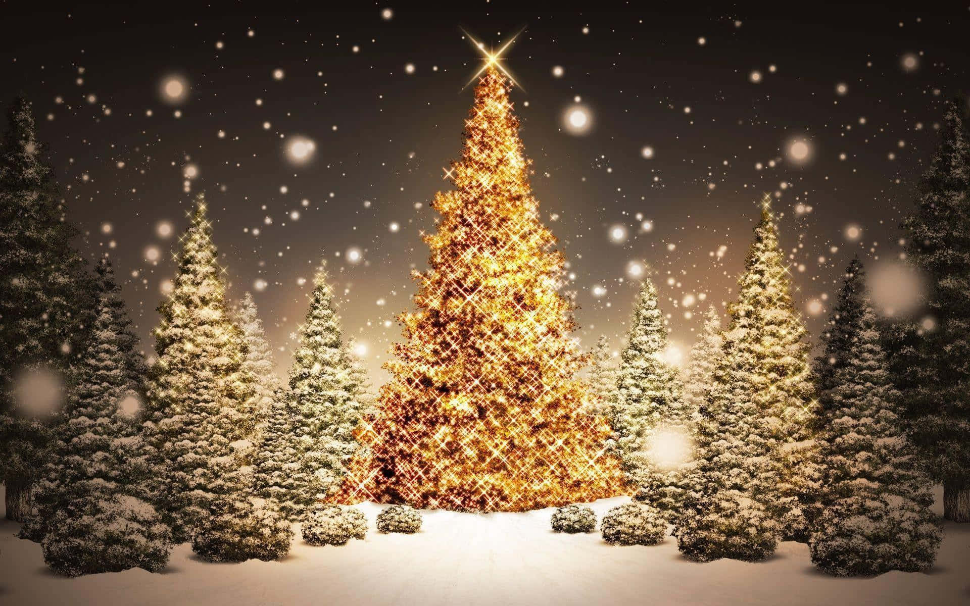 Christmas Snow 桌布 壁紙 — 夜晚，一棵閃耀的金色聖誕樹在飄雪中發光，周圍是白雪覆蓋的松樹。