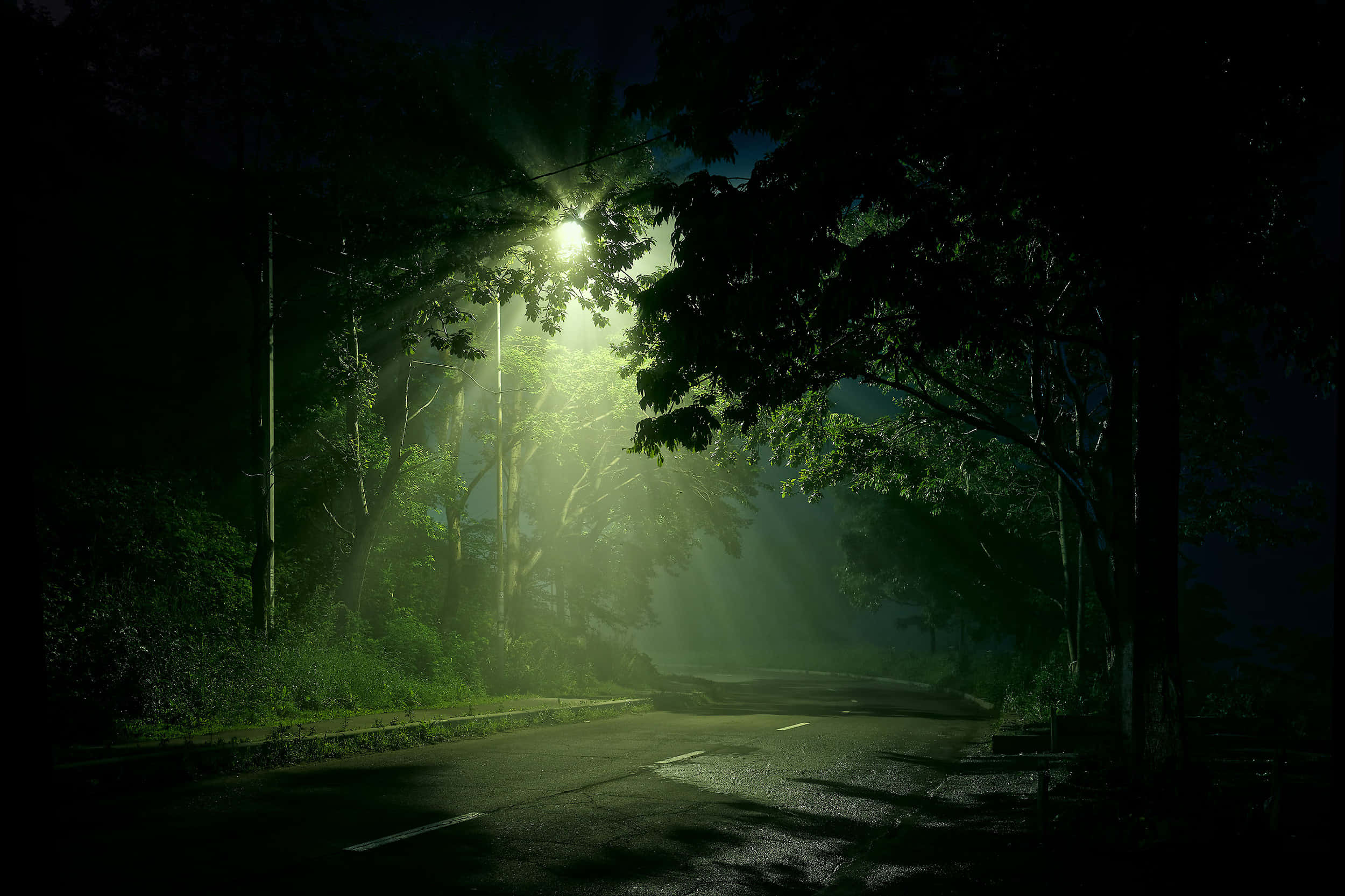 Street Light 桌布 壁紙 — 夜晚，一盞孤獨的路燈透過霧氣籠罩的樹木，在一條荒涼蜿蜒的道路上投下綠色的光芒。