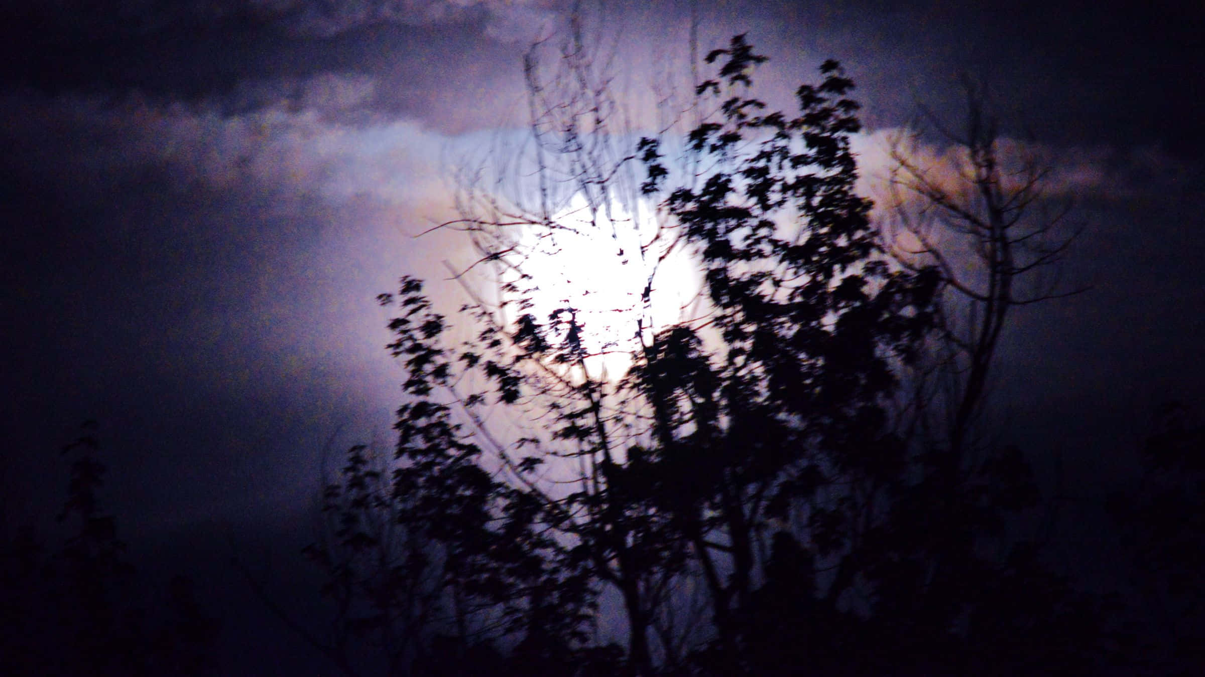 Goth 桌布 壁紙 — 夜晚，一輪明亮的滿月穿過烏雲，在剪影般的樹枝後閃耀。