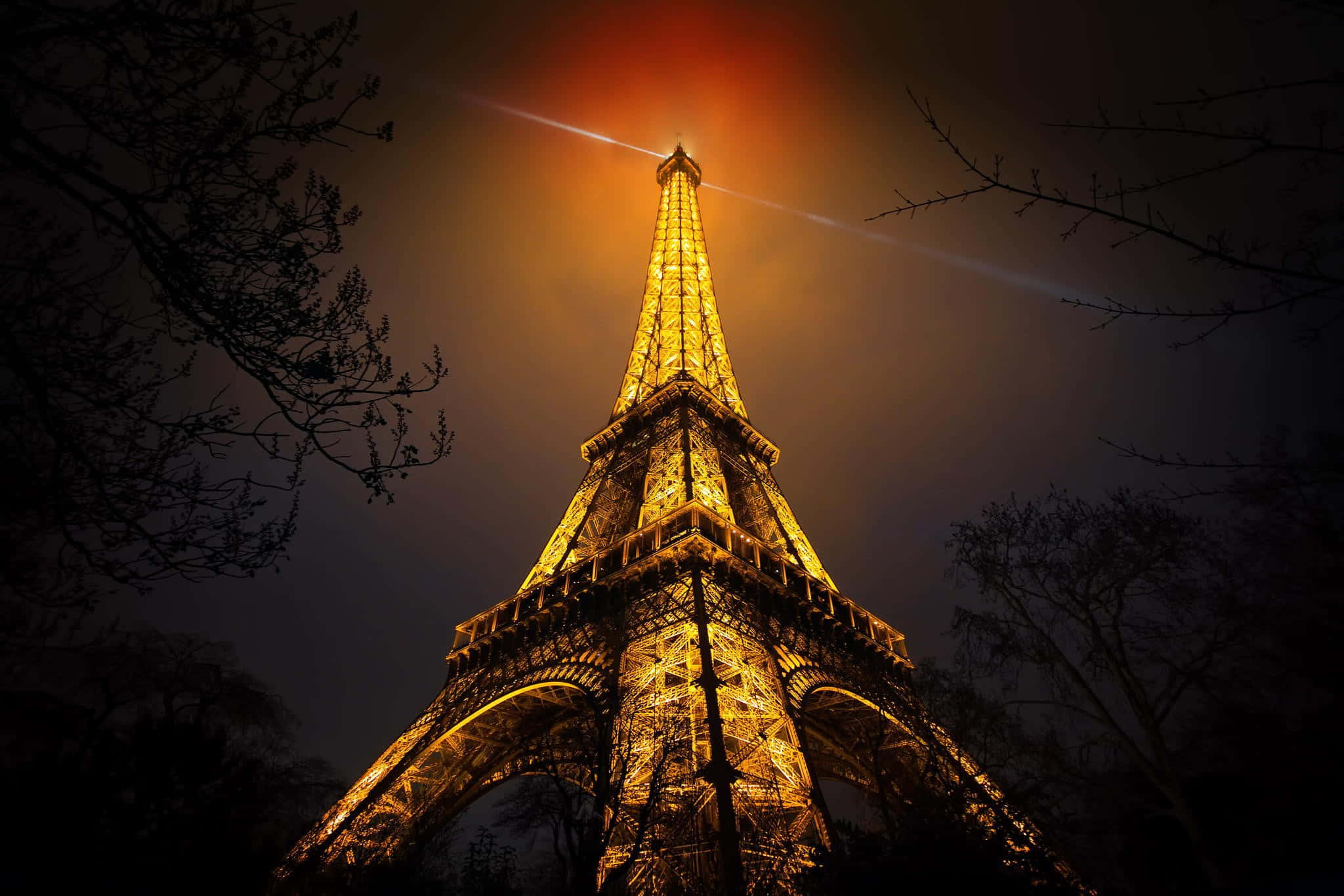 Eiffel Tower 桌布 壁紙 — 夜晚，艾菲爾鐵塔在光禿禿的樹枝框住的黑暗天空中溫暖地發光。