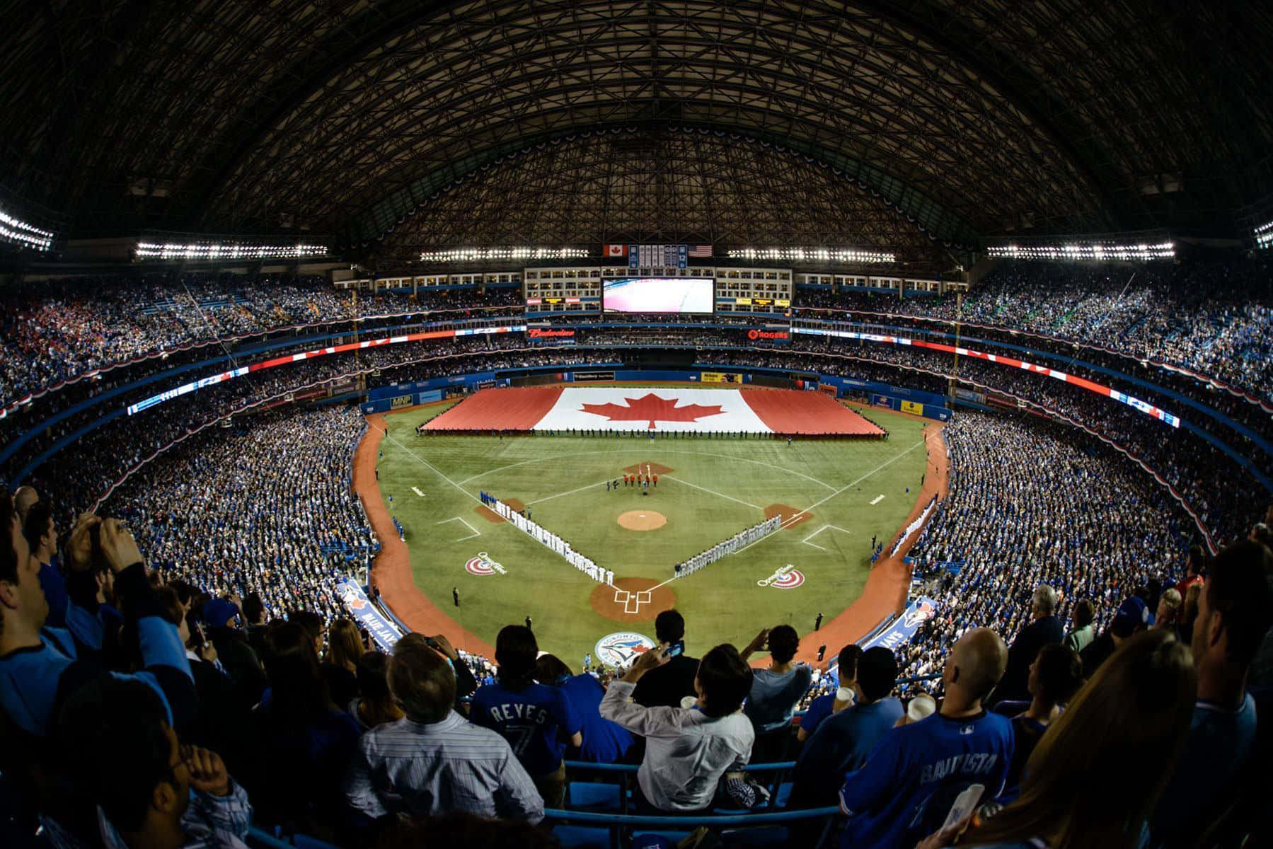 Blue Jays. 桌布 壁紙 — 夜晚一個擠滿人的棒球場，球迷歡呼，一面巨大的加拿大國旗在場地上展開。
