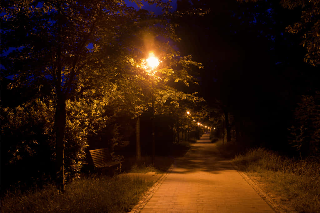 Night Time 桌布 壁紙 — 夜晚一條燈光昏暗的公園小徑，被溫暖的路燈照亮，在樹木和長椅上投下金色的光芒。