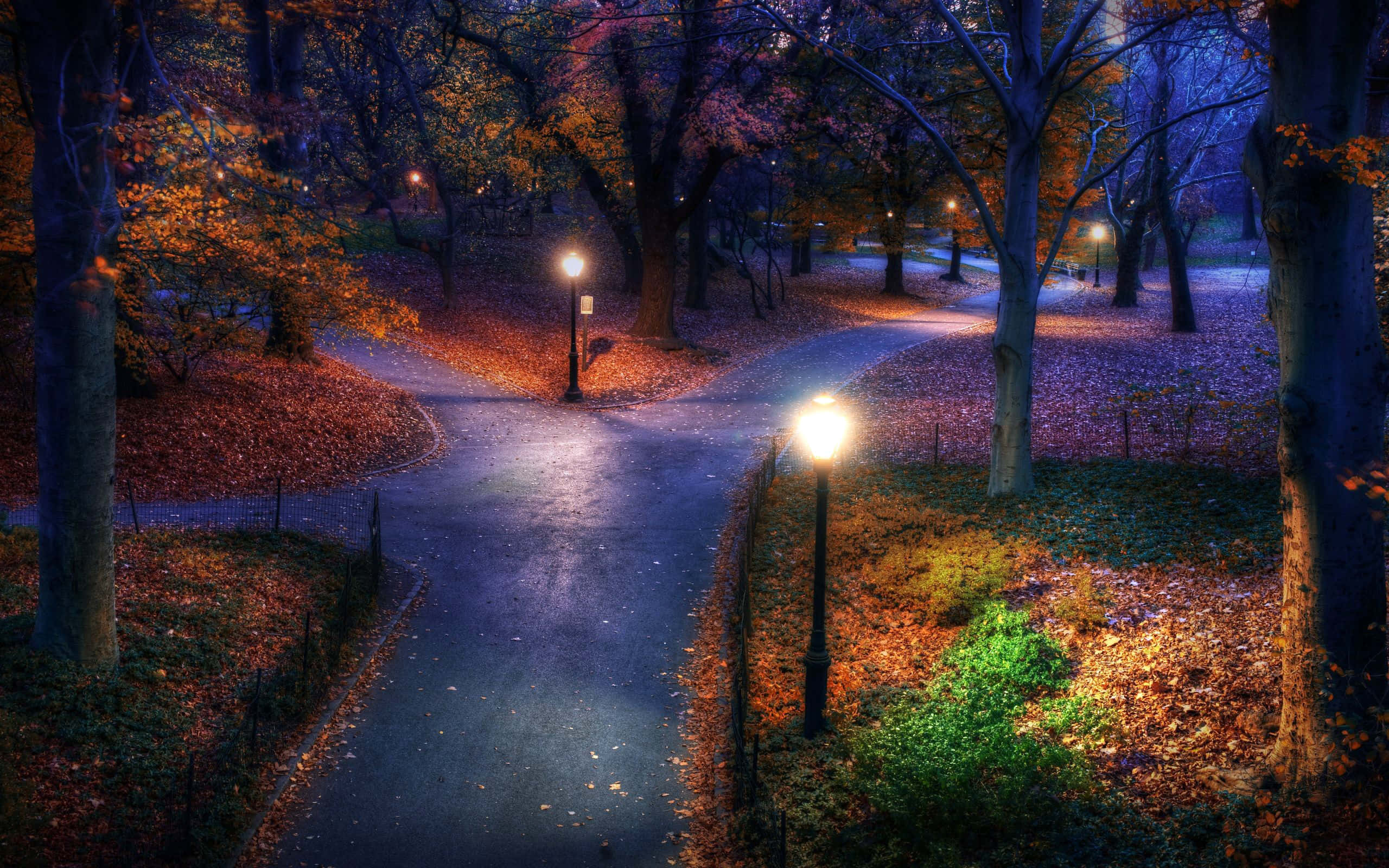 Autumn Evening 桌布 壁紙 — 夜晚一條蜿蜒的公園小徑，被溫暖的路燈照亮，在黑暗的樹木下投射出金色的光芒，灑落在秋天的落葉上。