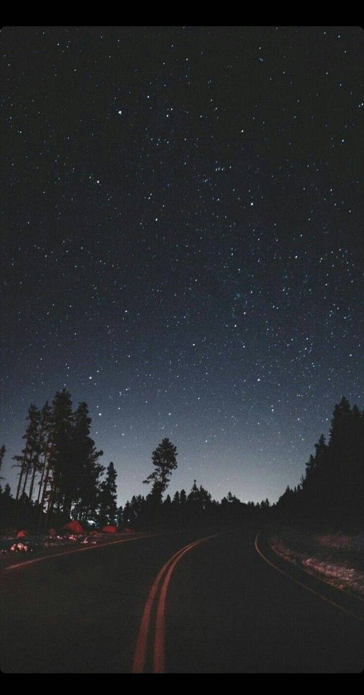 Road 桌布 壁紙 — 夜晚一條蜿蜒的道路在廣闊星空下彎曲，兩旁高聳的樹木排列。
