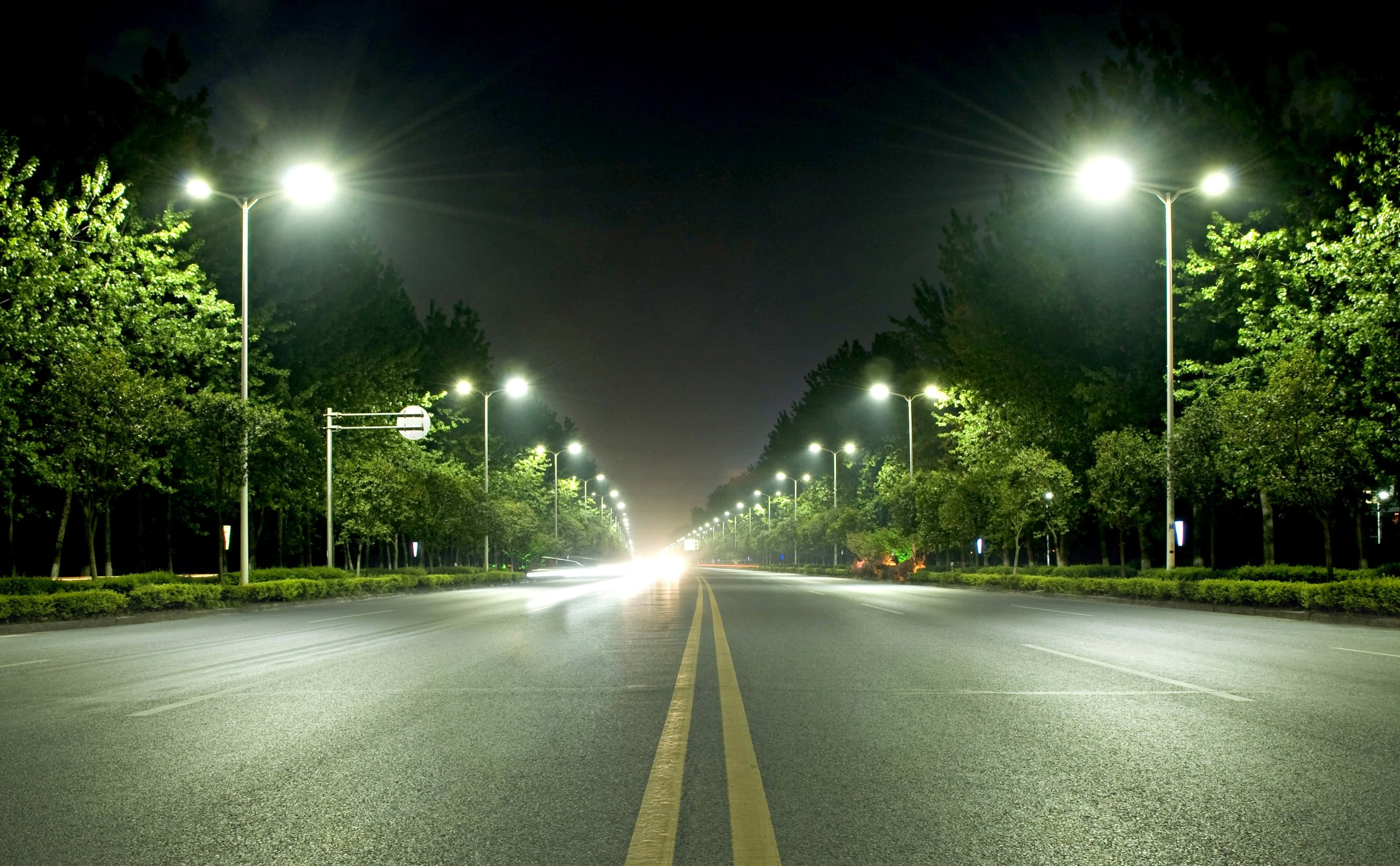 Street Light 桌布 壁紙 — 夜晚一條長直路，被明亮的路燈照亮，兩旁種滿樹木，遠處可見一輛車的車頭燈。