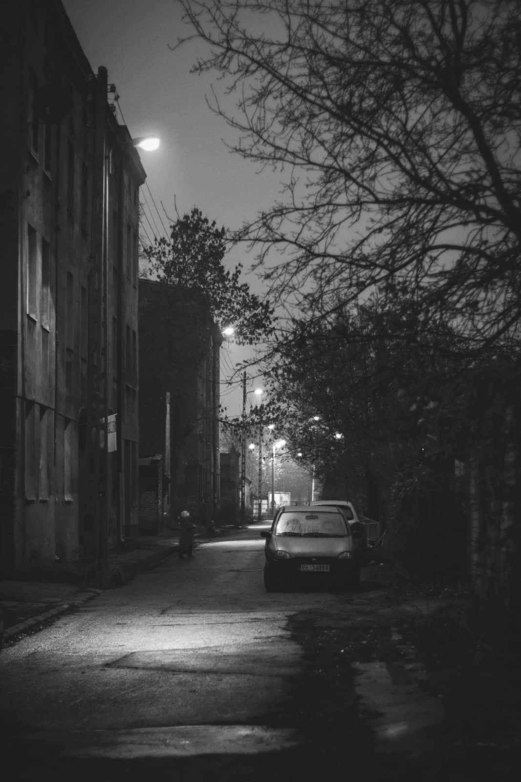 Black And White Street 桌布 壁紙 — 夜晚一條陰鬱的黑白城市小巷，街燈在潮濕的路面和停泊的汽車上投下長長的影子。