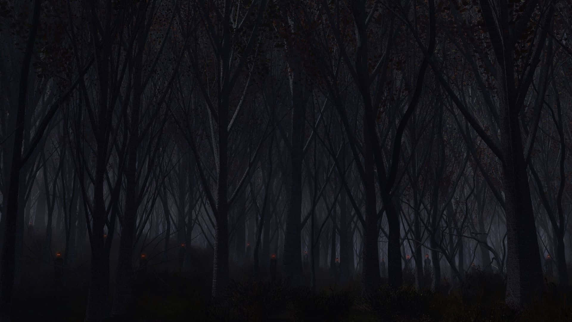Dark Theme 桌布 壁紙 — 夜晚一片茂密的黑暗森林，樹木光禿，遠處有微弱的發光燈光。