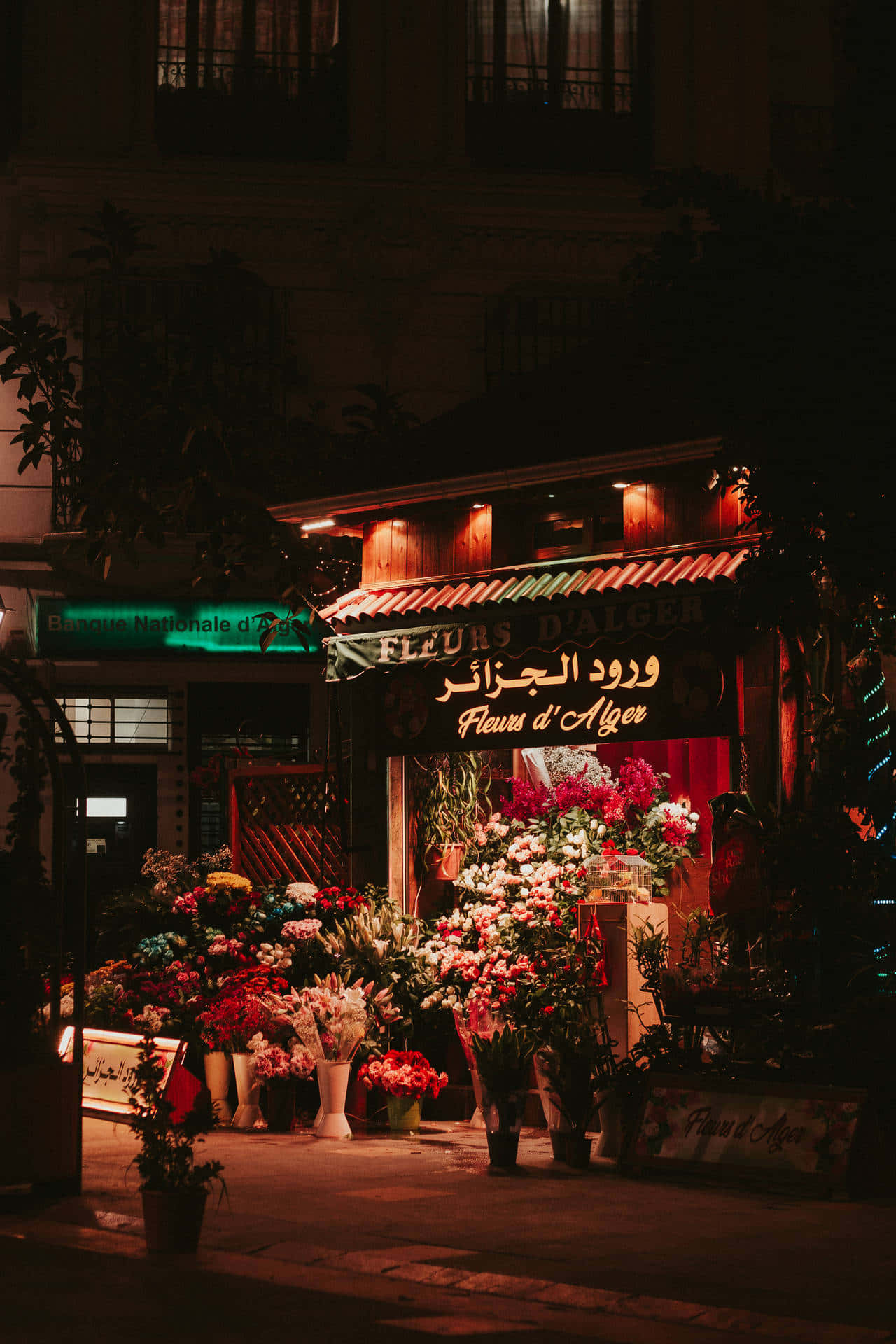 阿爾及利亞 桌布 壁紙 — 夜晚一間燈光溫暖的花店，在黑暗的城市背景下，閃爍的招牌下展示著鮮豔的花朵。
