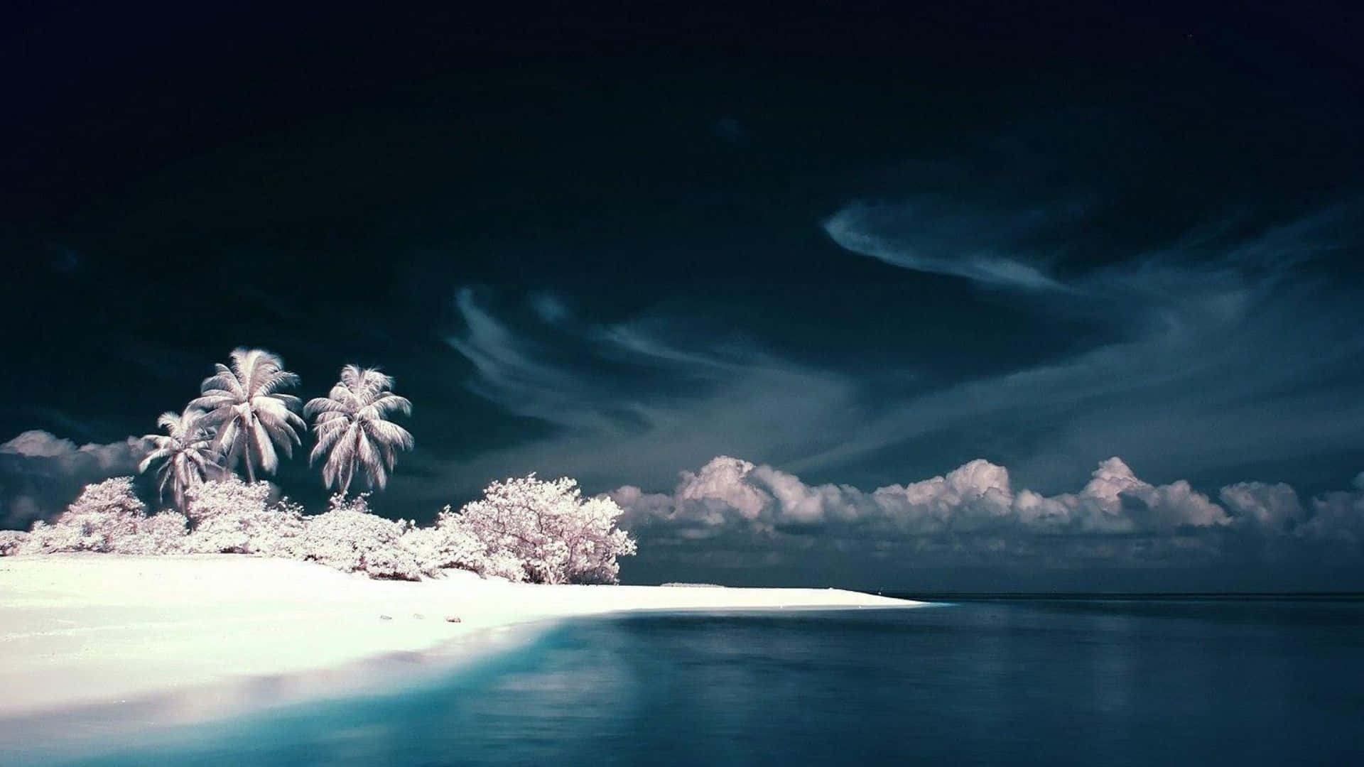 Beautiful Ocean 桌布 壁紙 — 夜晚中一個超現實的熱帶島嶼，有發光的白色棕櫚樹和雲朵，在深藍色天空下。