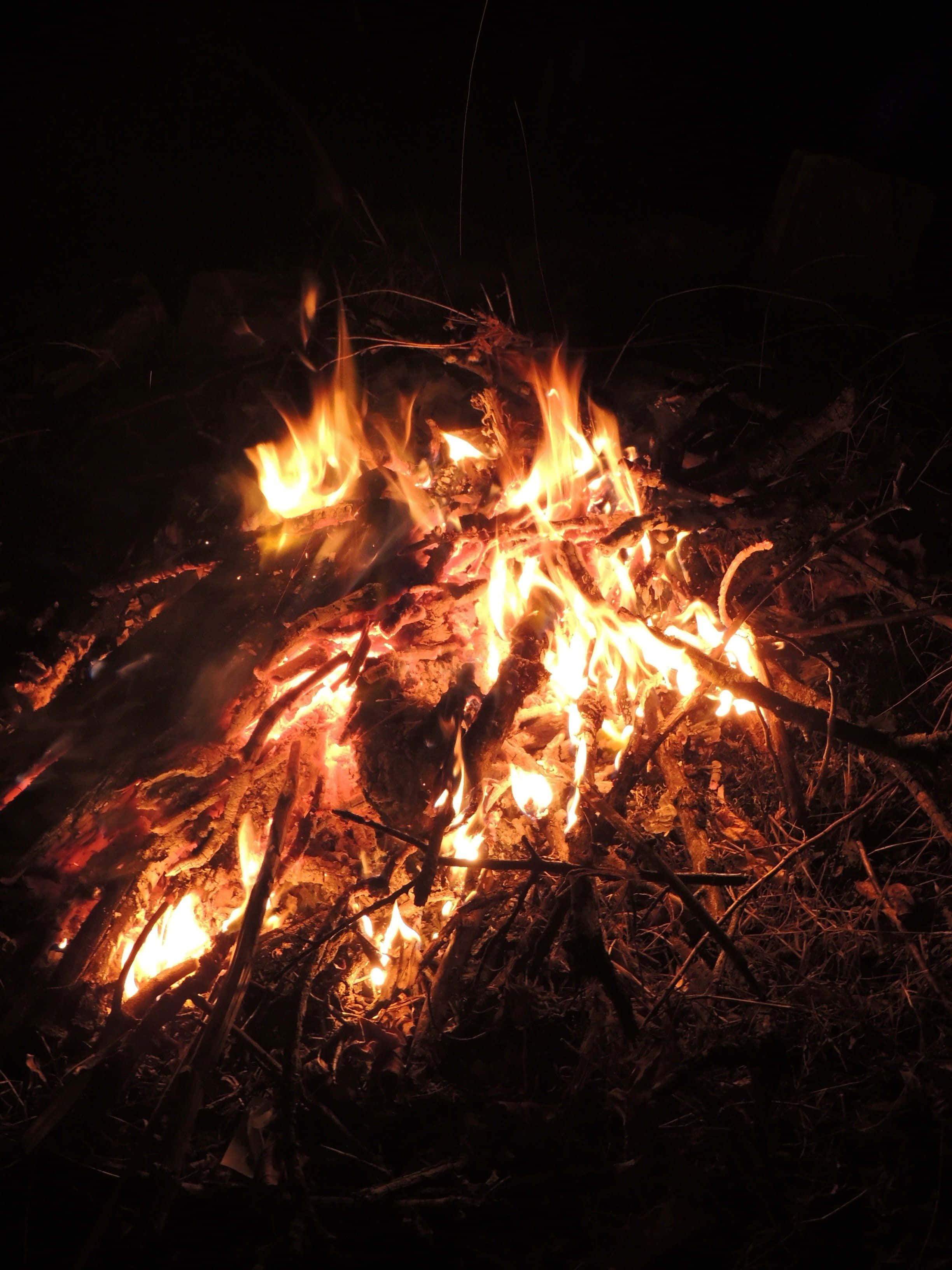 Campfire 桌布 壁紙 — 夜晚中咆哮的營火，明亮的橙色火焰在黑色背景上的深色木頭和樹枝上舞動。