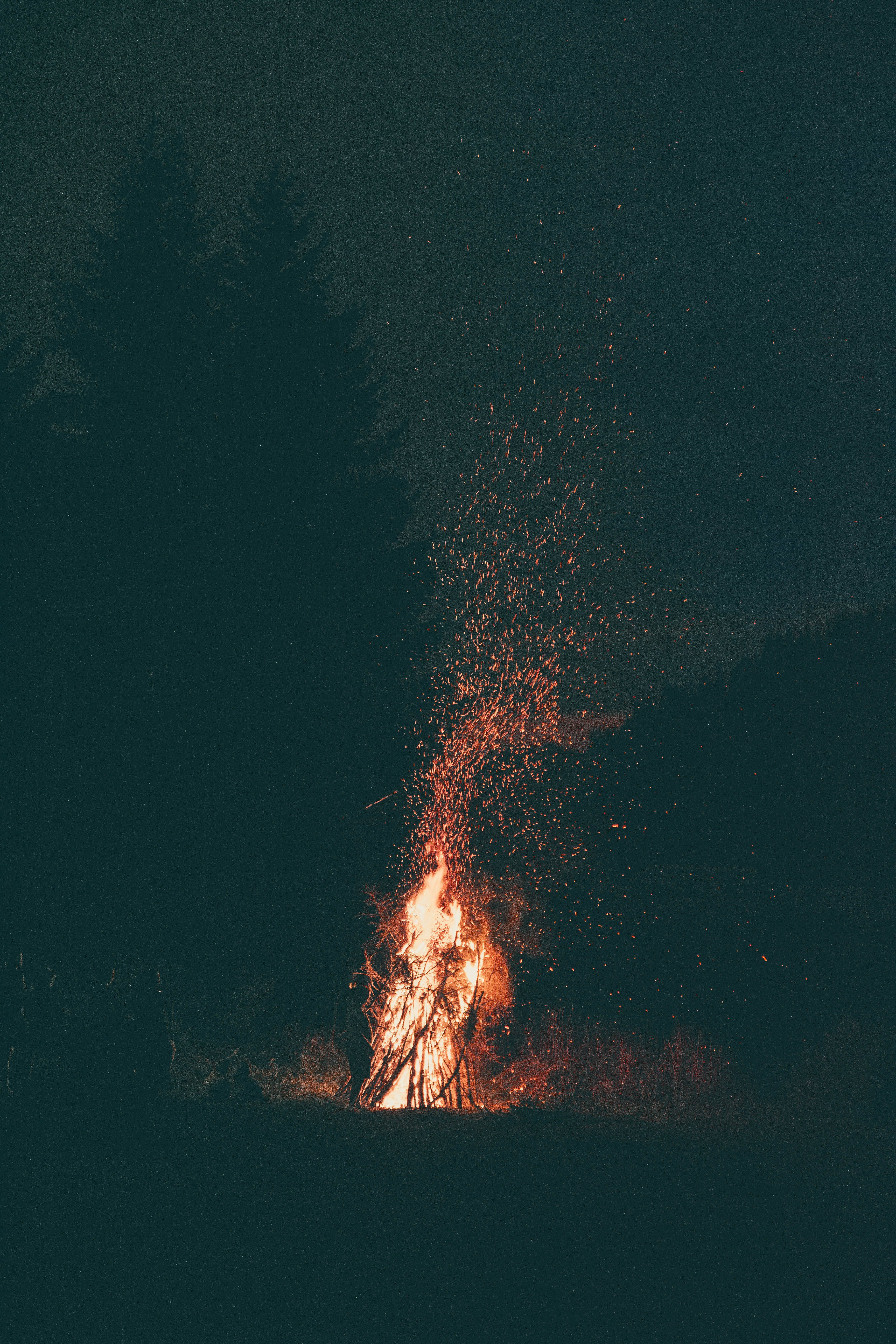 著火 桌布 壁紙 — 夜晚咆哮的營火在黑暗的森林背景下向上飛舞出明亮的橙色火花。