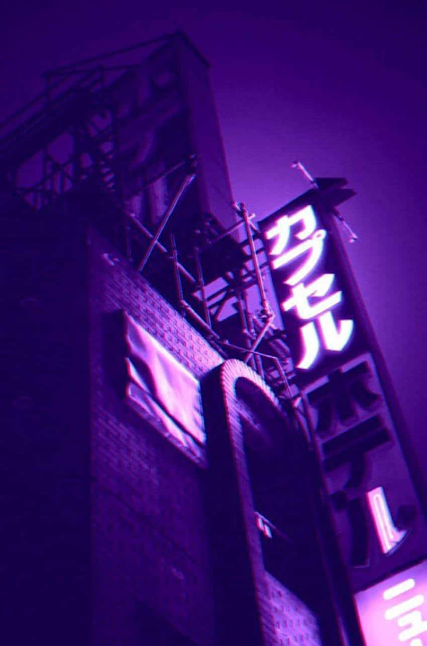 City Lights 桌布 壁紙 — 夜晚城市中，一棟磚造建築上紫色霓虹燈招牌的低角度拍攝。