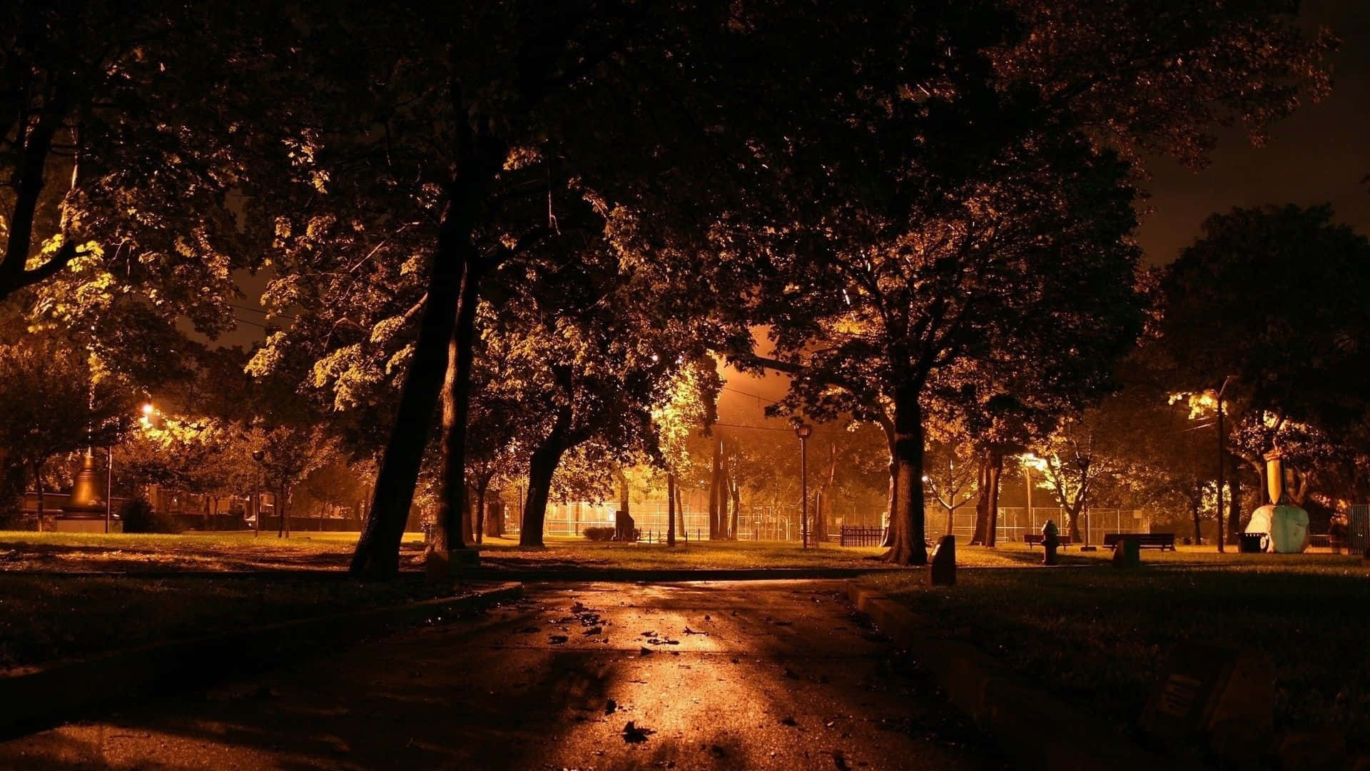 Dark Autumn 桌布 壁紙 — 夜晚寧靜的公園，樹木在街燈下溫暖地發光，在潮濕的路面上投下長長的影子。