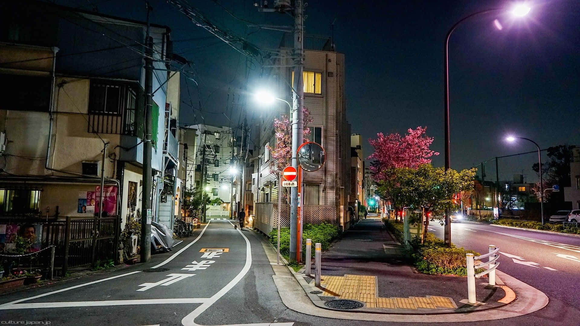 Road 桌布 壁紙 — 夜晚寧靜的日本街道，街燈照亮，粉紅櫻花樹在黑暗建築物襯托下柔和發光。