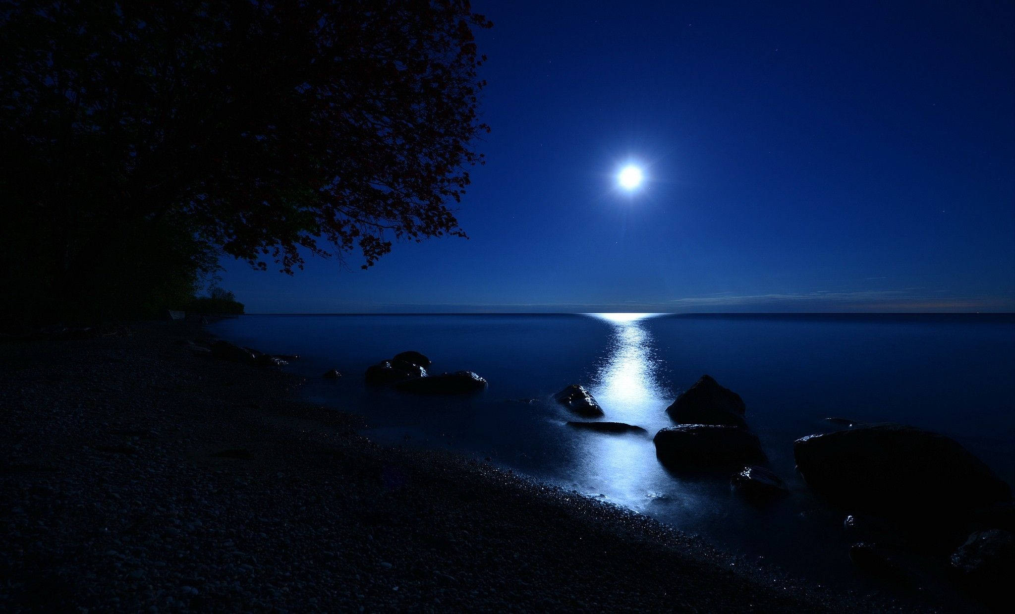 黑夜 桌布 壁紙 — 夜晚寧靜的月光湖，明亮的滿月在平靜的水面上投射出一條閃爍的路徑，旁邊是黑暗的岩石和一棵剪影樹。