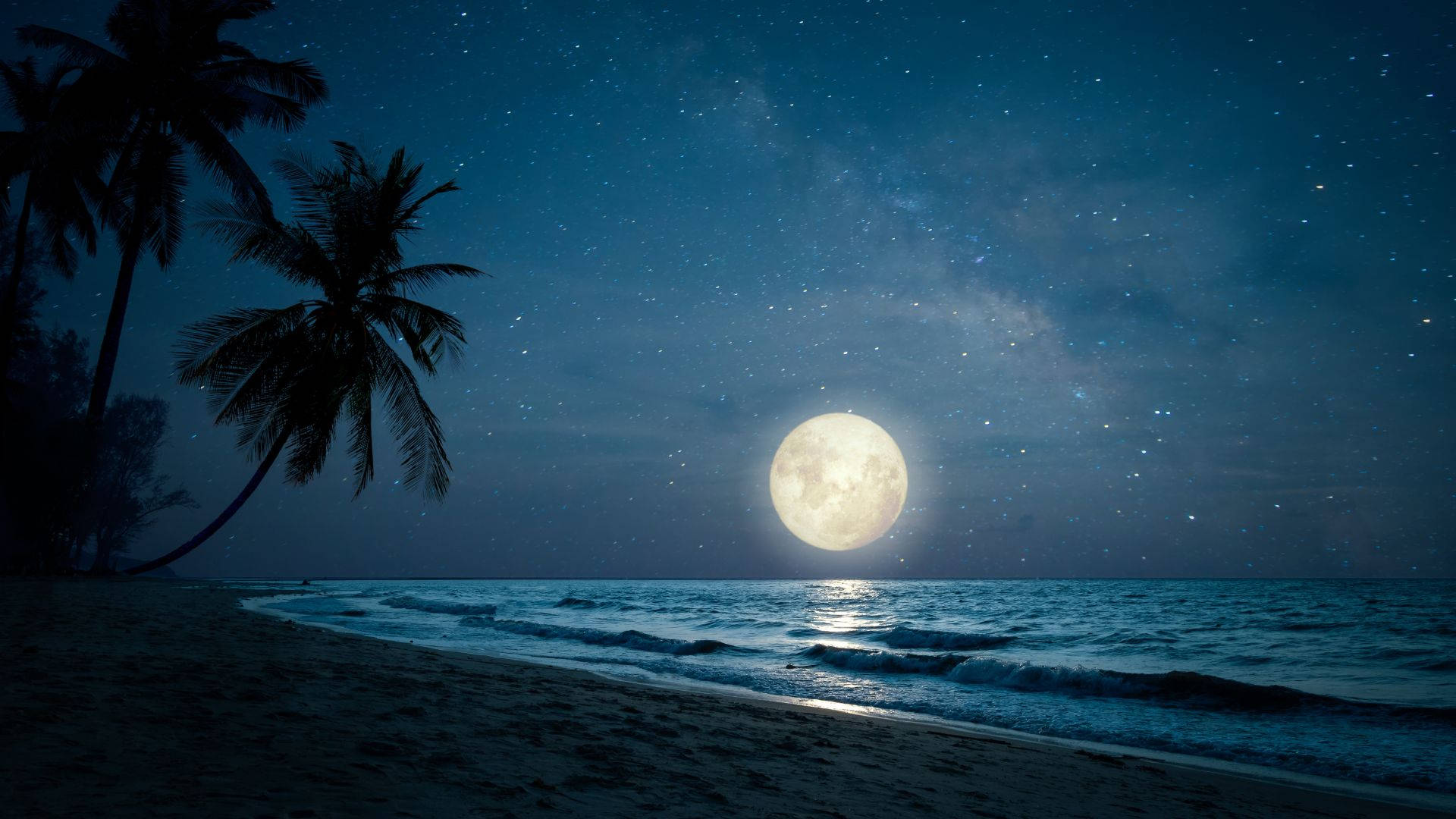 電腦 桌布 壁紙 — 夜晚寧靜的熱帶海灘，滿月照耀著海洋，棕櫚樹在星空下形成剪影。