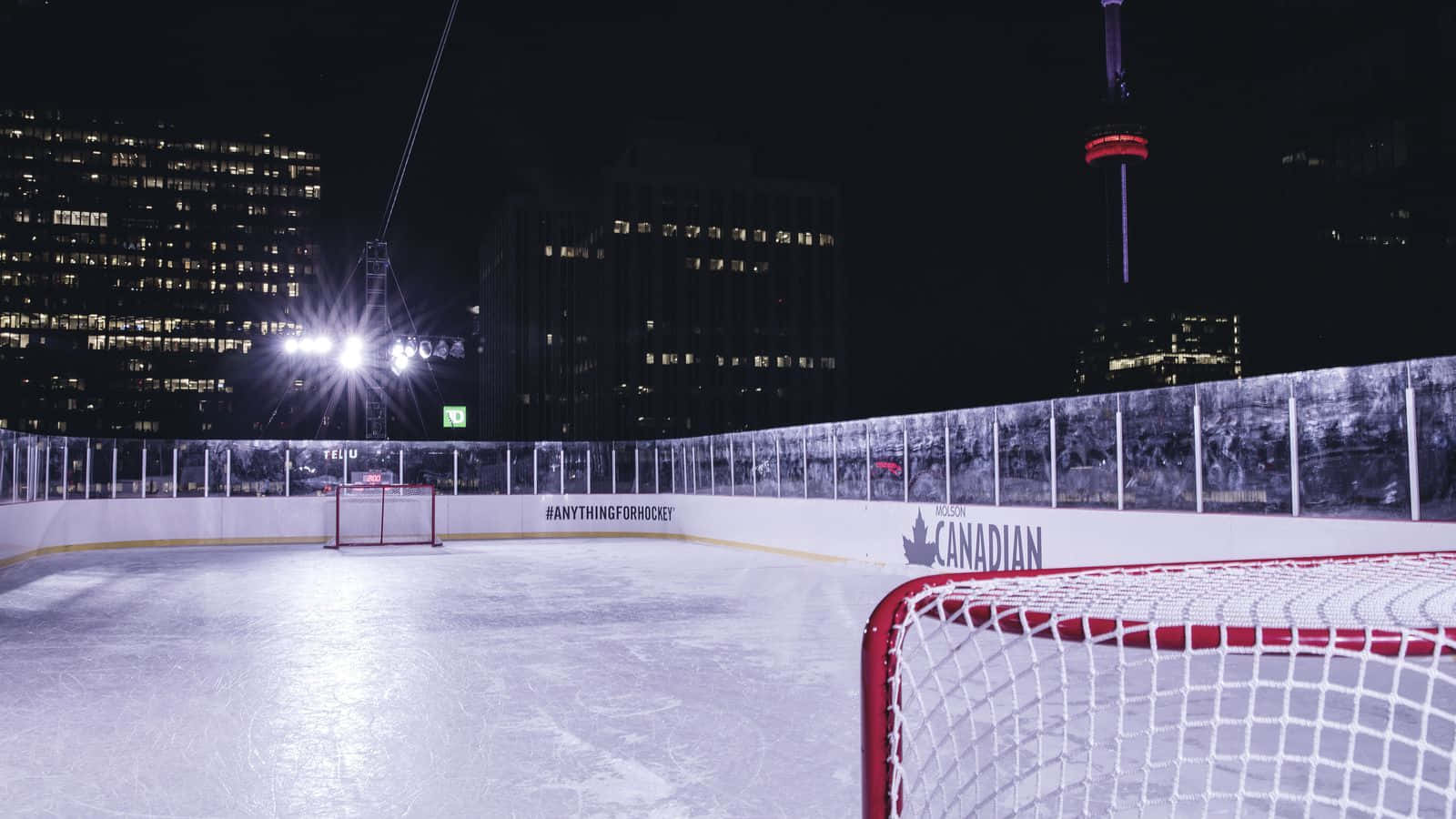 Ice Rink 桌布 壁紙 — 夜晚明亮燈光下空無一人的曲棍球場，背景是CN塔和城市天際線。