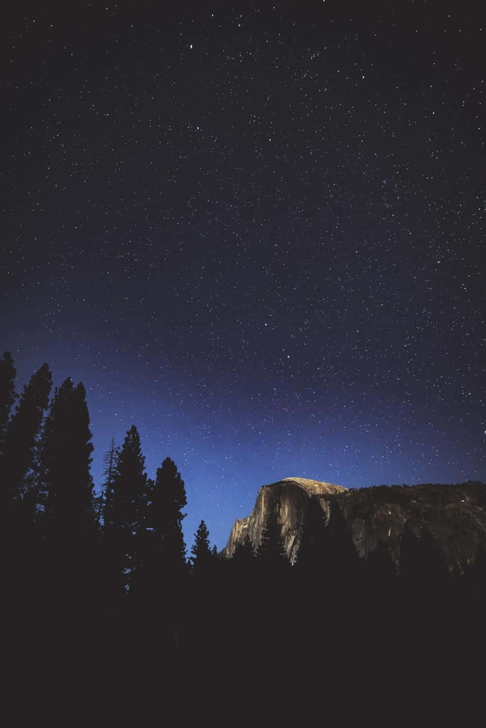 夜晚星空與樹木 壁紙
