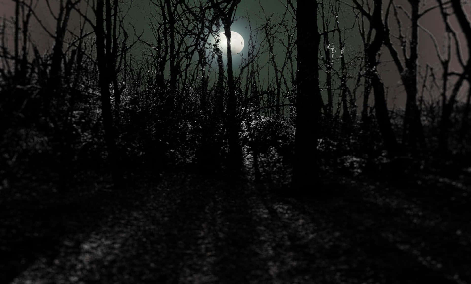Night Forest 桌布 壁紙 — 夜晚月光下的陰森森林，光禿禿的樹木在蒼白的滿月下投下長長的影子。