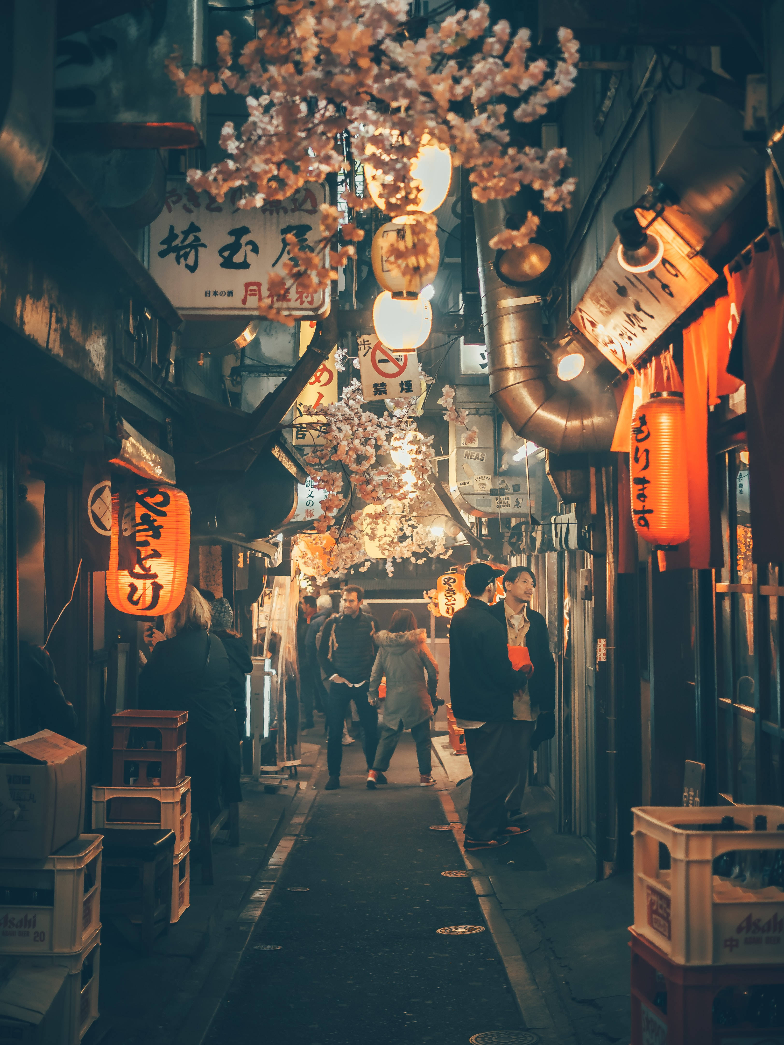 日本 桌布 壁紙 — 夜晚東京一條狹窄小巷，溫暖的燈籠和頭頂的櫻花閃閃發光，人們在下面漫步。