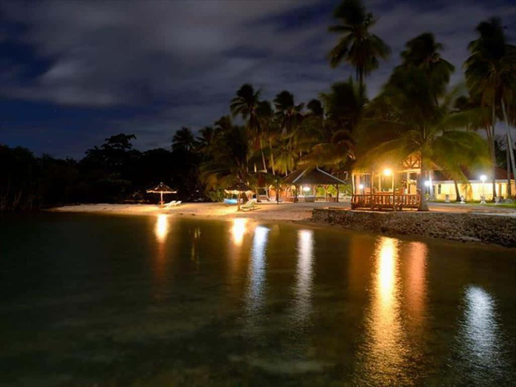 海灘 桌布 壁紙 — 夜晚海灘場景，棕櫚樹和發光的燈籠在平靜的水面上倒映，天空漆黑。