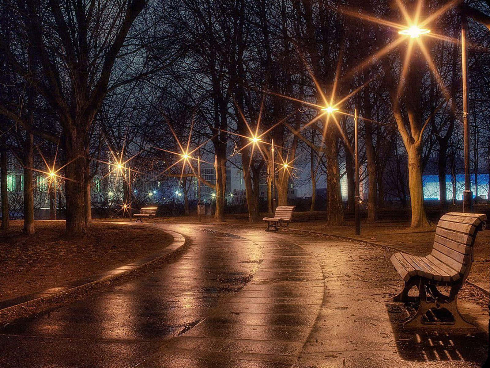 Evening 桌布 壁紙 — 夜晚潮濕的公園小徑，被發光的街燈照亮，在光禿的樹木和木長椅上投射出星芒效果。