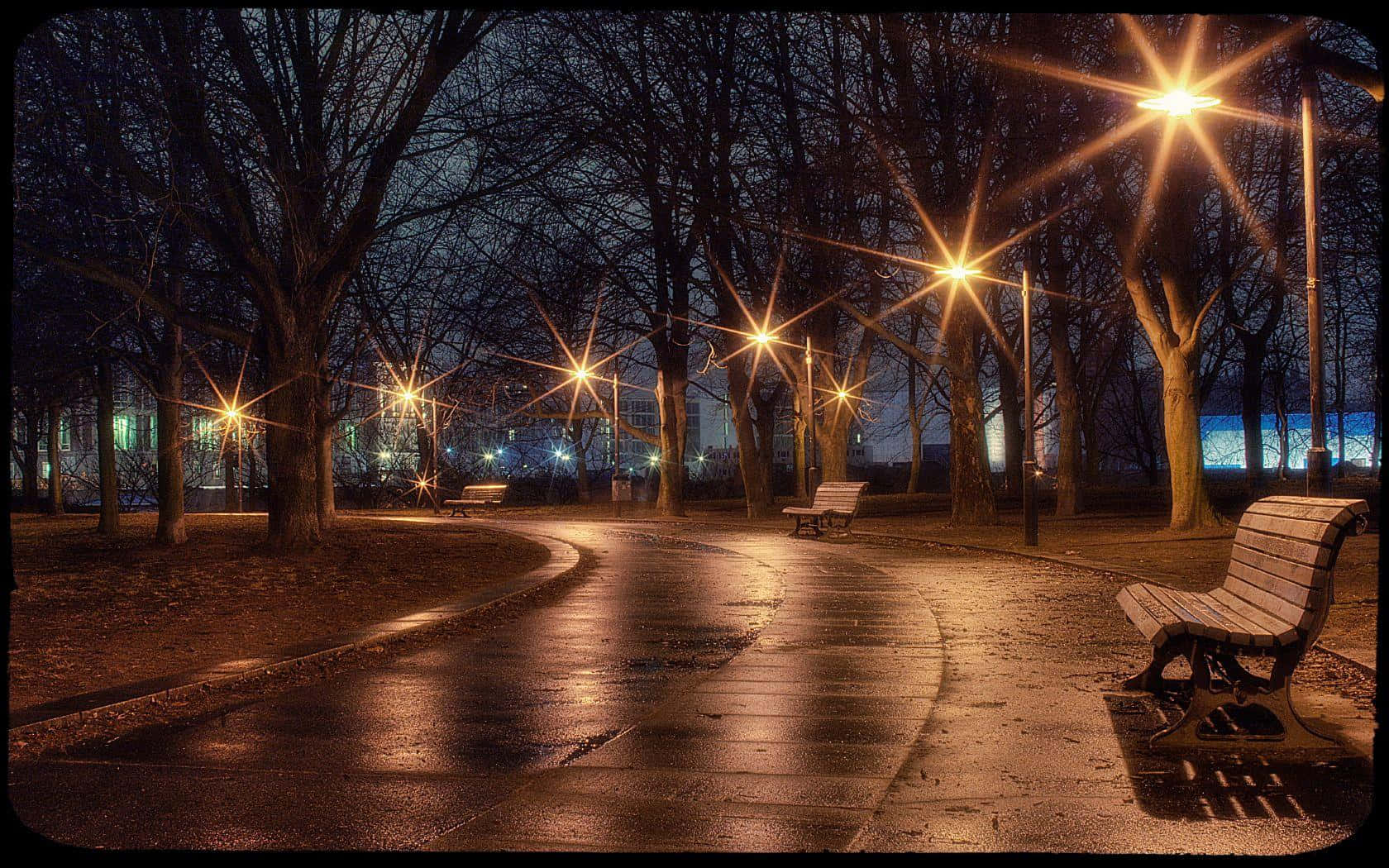 Pathway 桌布 壁紙 — 夜晚潮濕的公園小徑，被發光的街燈照亮，在光禿禿的樹木和長椅上產生星芒效果。
