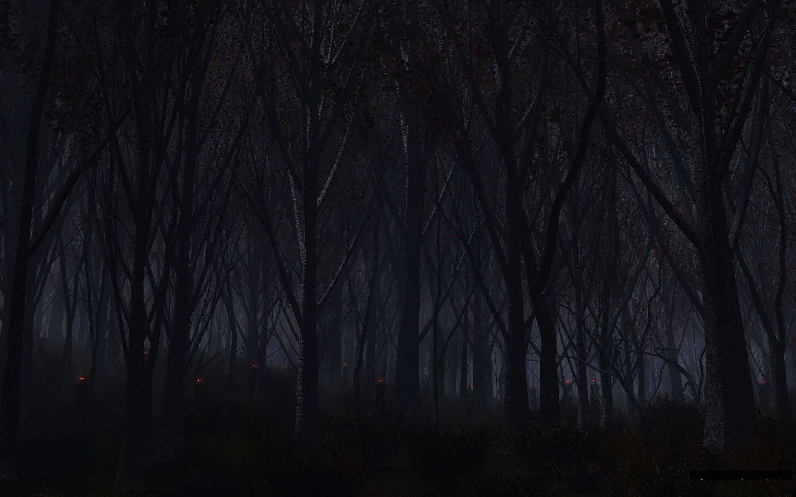 Unsettling 桌布 壁紙 — 夜晚濃密的黑暗森林，有光禿禿的樹木和霧中微弱的發光燈光。