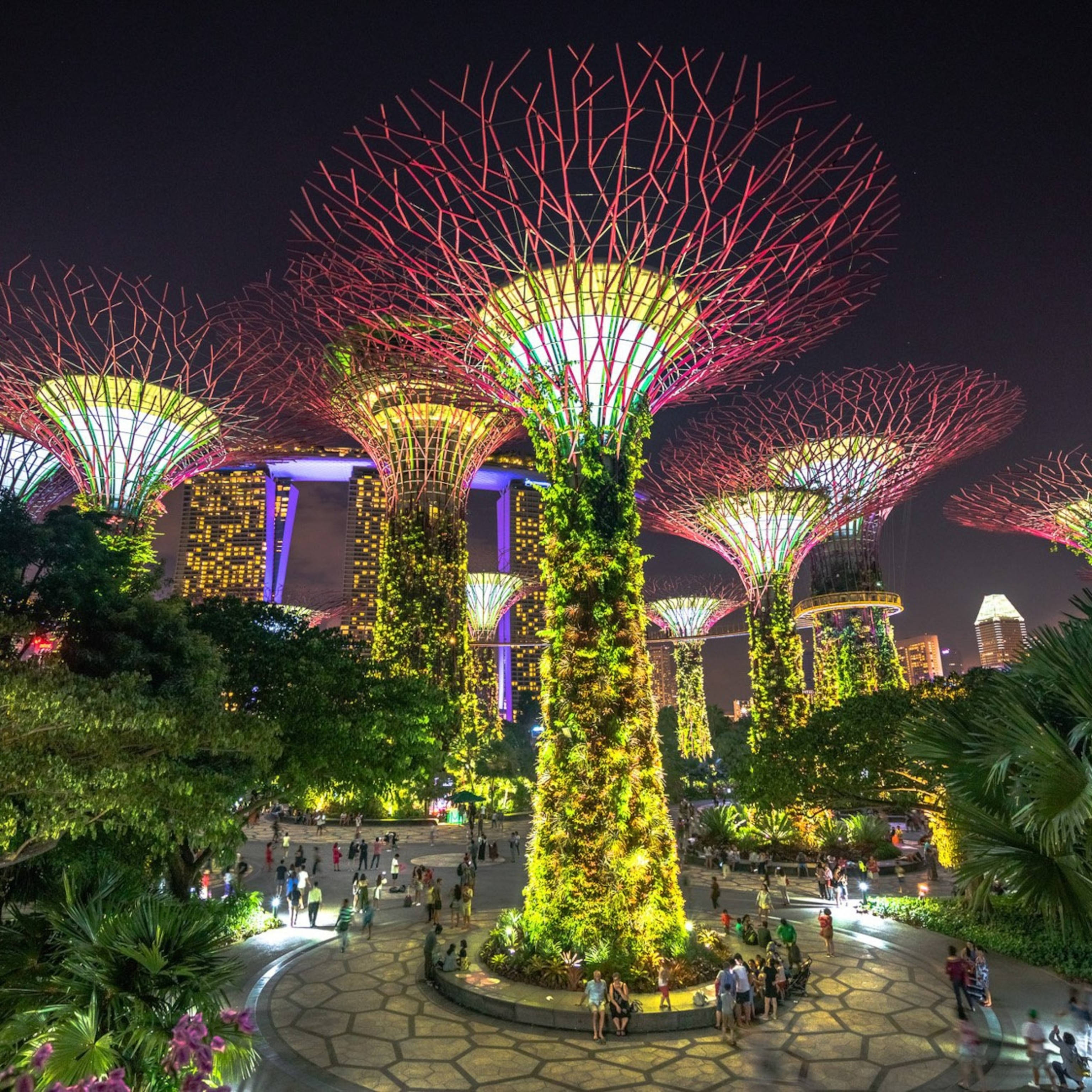 Singapore 桌布 壁紙 — 夜晚濱海灣花園中，發光的超級樹在黑暗的天空下閃爍著鮮豔的光芒。