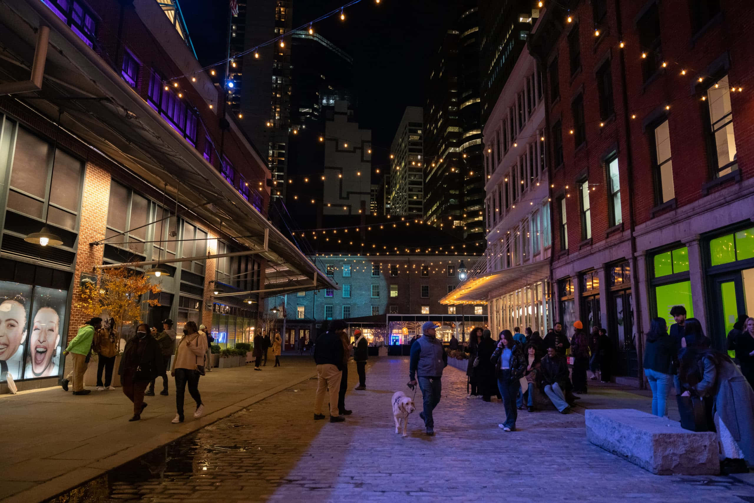Street 桌布 壁紙 — 夜晚熱鬧的城市小巷，被串燈和發光的店面照亮，人們漫步，一隻狗在散步。