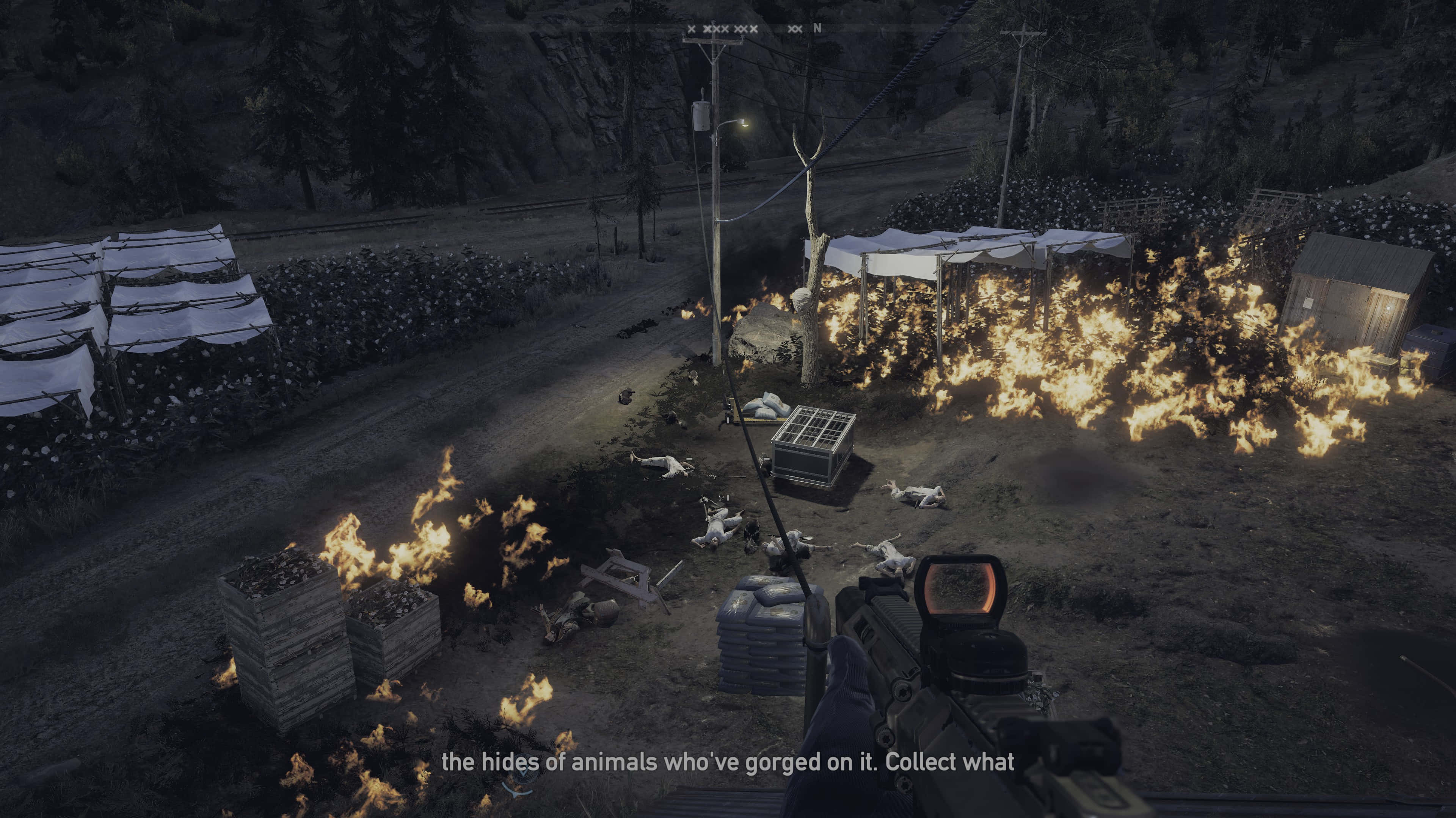 Best Far Cry 5 桌布 壁紙 — 夜晚燃燒的營地第一人稱視角，火焰吞噬堆疊物和動物屍體，光線昏暗。