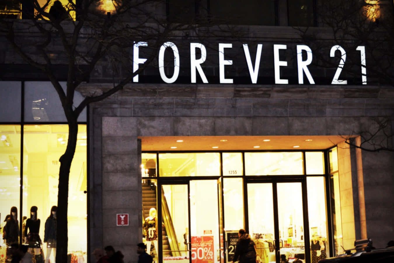 永遠21 桌布 壁紙 — 夜晚燈火通明的Forever 21商店，發光的窗戶和樹木剪影映襯在石頭外牆上。