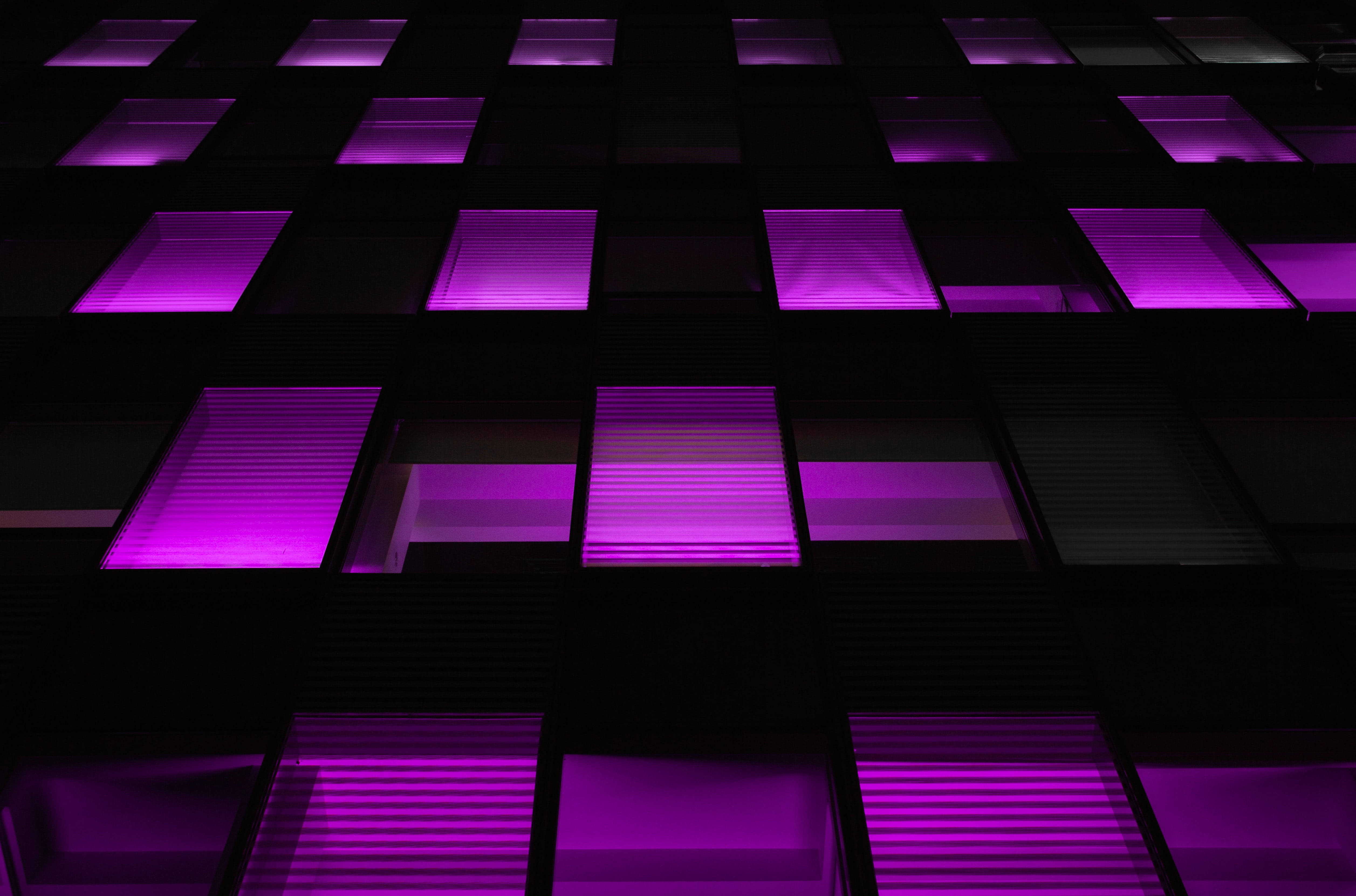 Dark Neon 桌布 壁紙 — 夜晚現代建築外牆，帶有發光紫色窗戶排列成網格圖案。