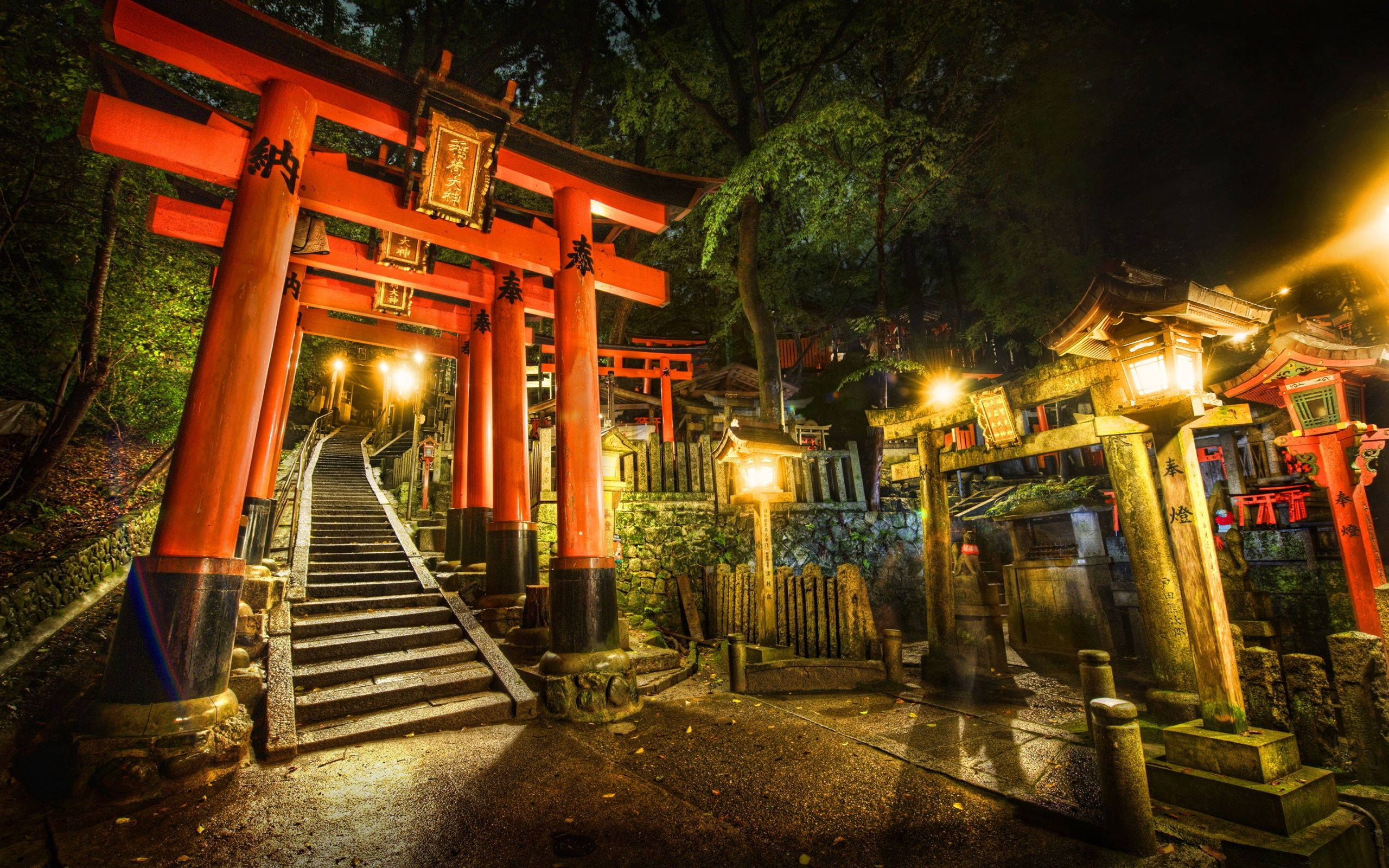 日本 桌布 壁紙 — 夜晚發光的紅色鳥居，沿著森林神社小徑的石階向上延伸。