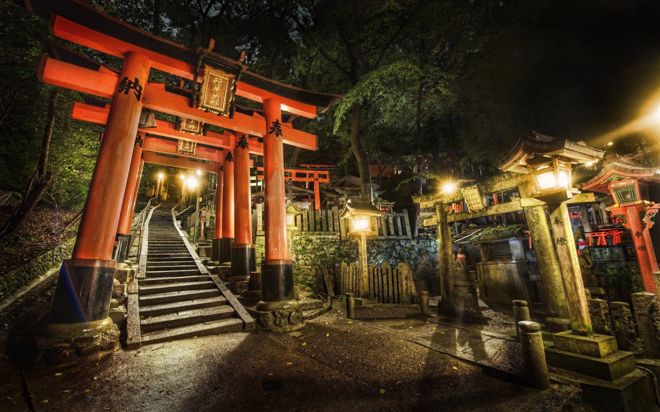 京都 桌布 壁紙 — 夜晚發光的紅色鳥居照亮了通往森林神社的石階梯。