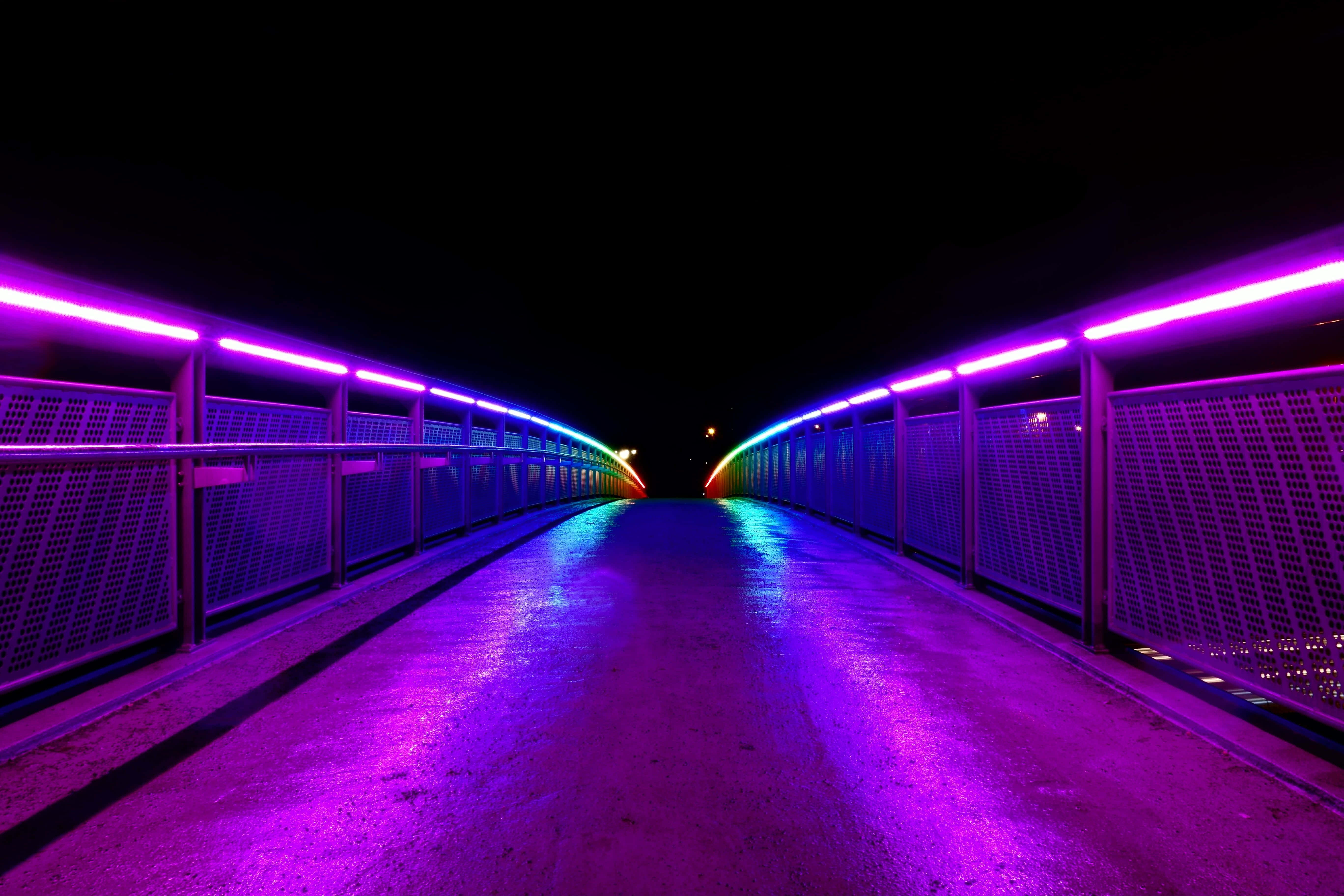 City Night 桌布 壁紙 — 夜晚發光的霓虹橋，鮮豔的紫色和藍色燈光反射在潮濕的路面上。