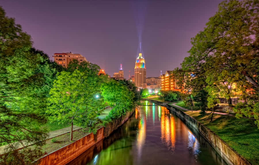 夜晚的城市，河流與樹木相伴 壁紙