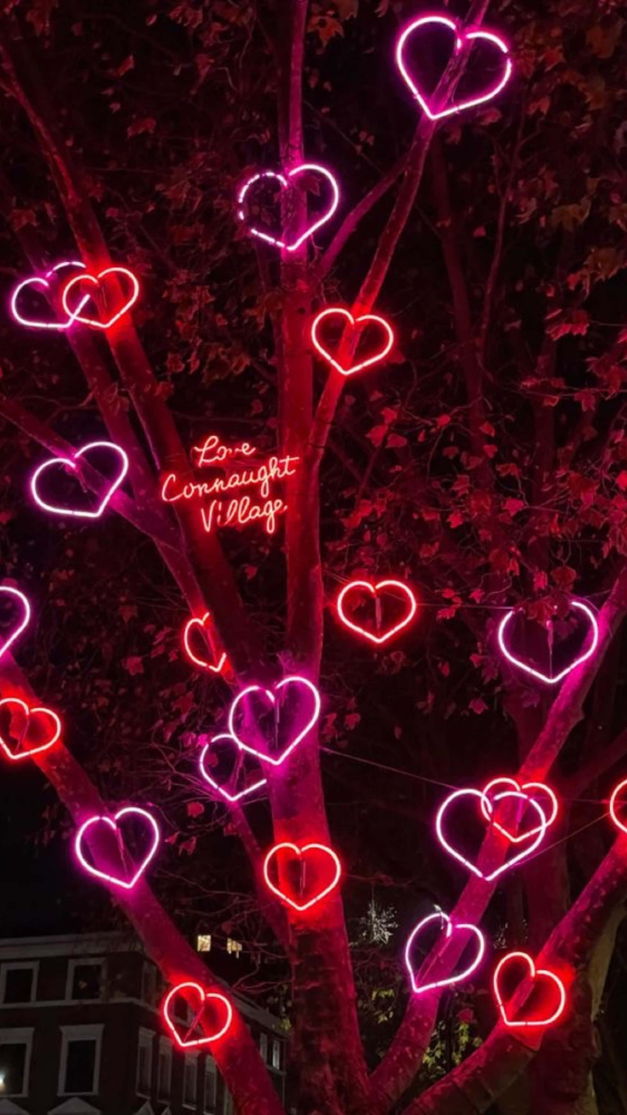 Red Hearts 桌布 壁紙 — 夜晚的樹上裝飾著發光的粉紅色和紅色霓虹心形，並帶有「Love Cinnnaught Village」文字。