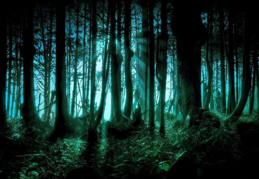 黑暗自然 桌布 壁紙 — 夜晚的神秘森林，詭異的青色光線穿過高聳的樹木，投下長長的陰影。