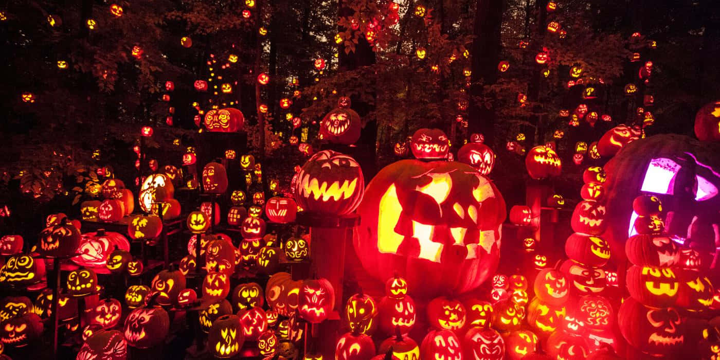 Jack O Lantern 桌布 壁紙 — 夜晚的茂密森林中，充滿了各種恐怖表情的發光南瓜燈，散發出溫暖的橙色光芒。