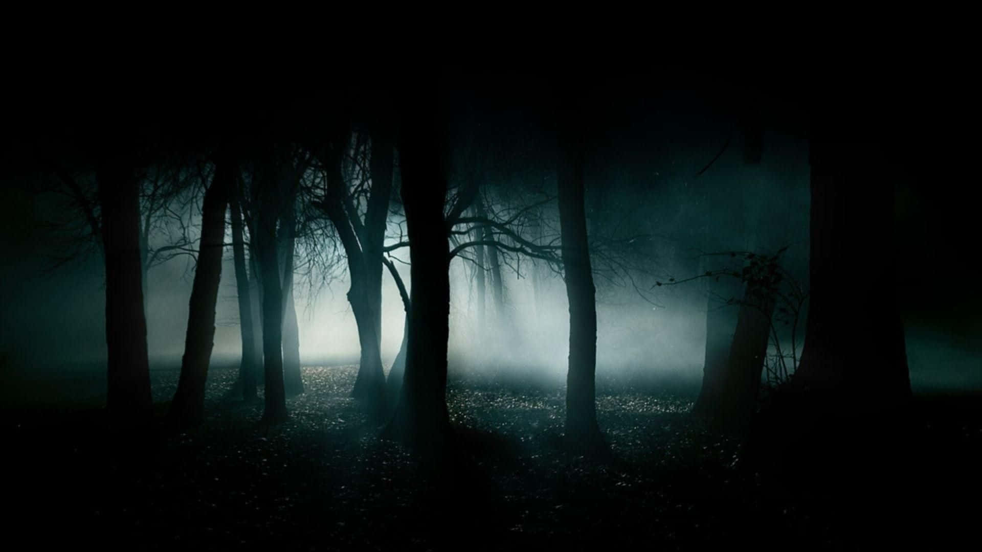 桌布 壁紙 — 夜晚的霧林，樹木剪影，微弱的藍光透過霧氣。