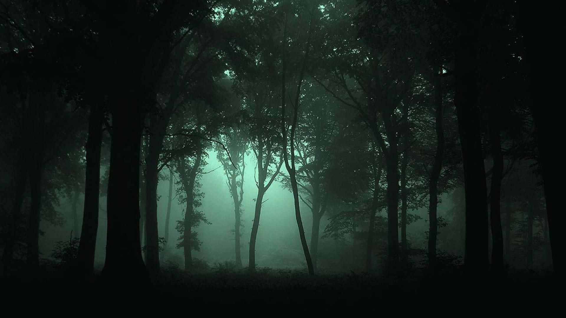 黑暗森林 桌布 壁紙 — 夜晚的霧氣森林，詭異的綠色光芒穿過高聳的樹木，投下長長的陰影。