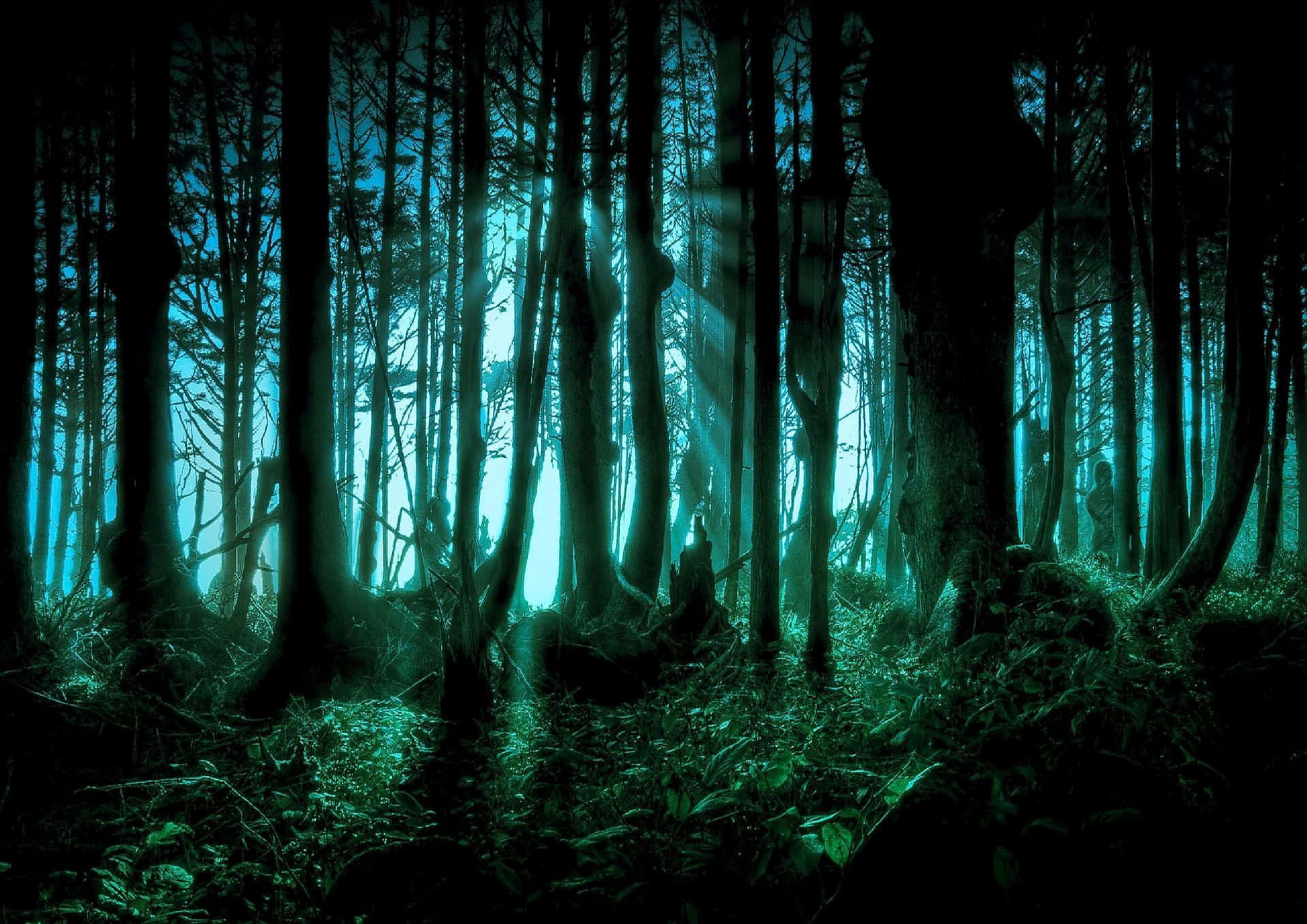 woods 桌布 壁紙 — 夜晚神秘森林，詭異的藍綠色光線穿過高聳樹木，投下長長的陰影。