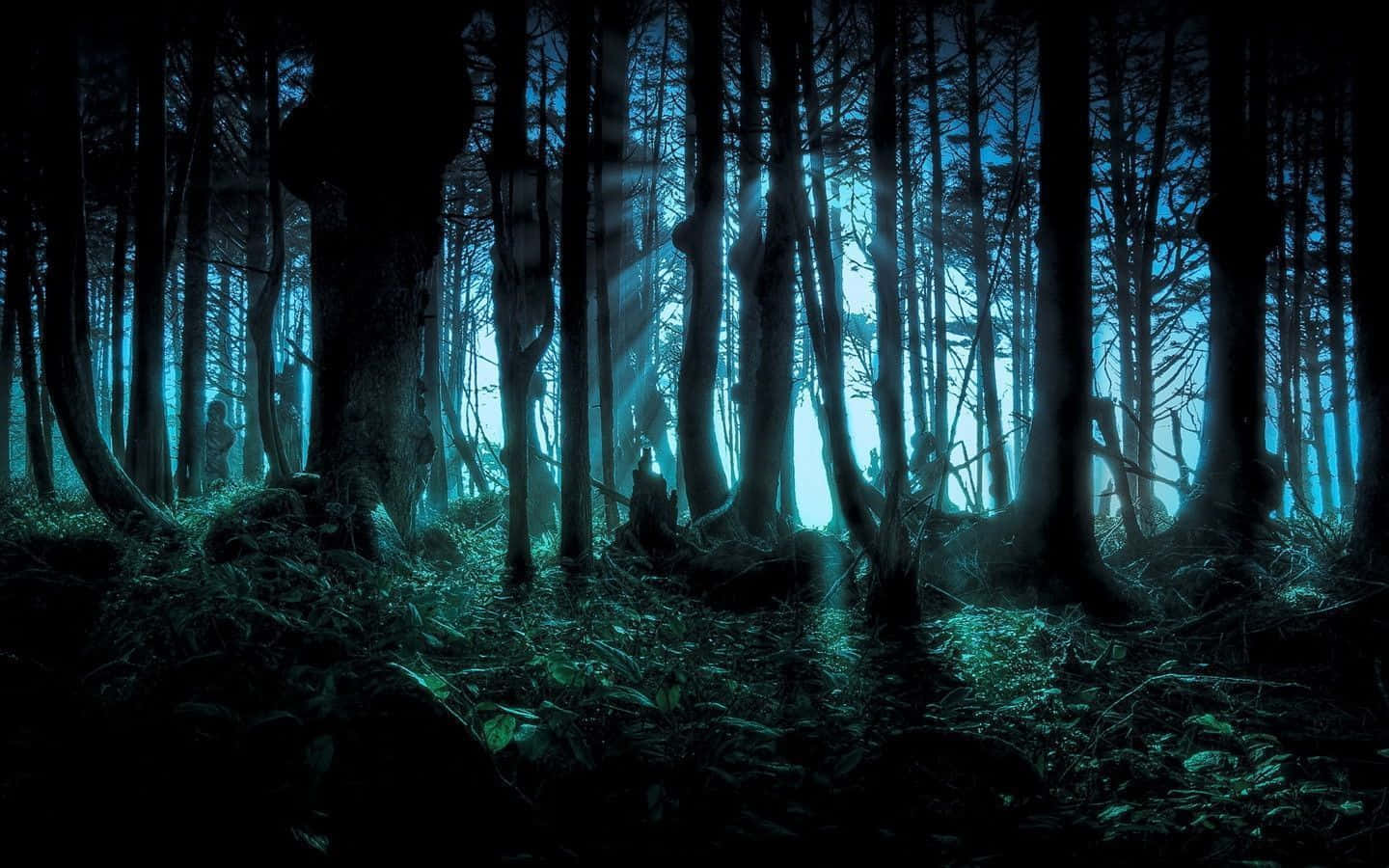 Anime Forest 桌布 壁紙 — 夜晚神秘森林，詭異藍光穿過高聳樹木，在長滿苔蘚的地面上投下長長的陰影。