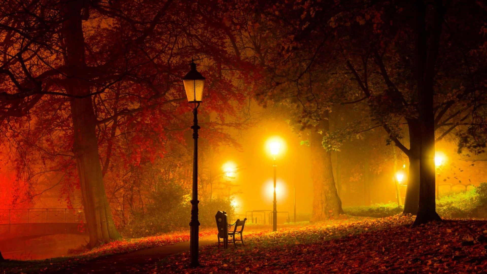Warm 桌布 壁紙 — 夜晚薄霧籠罩的秋日公園，溫暖的路燈在紅葉和剪影樹木上投下金色光芒。
