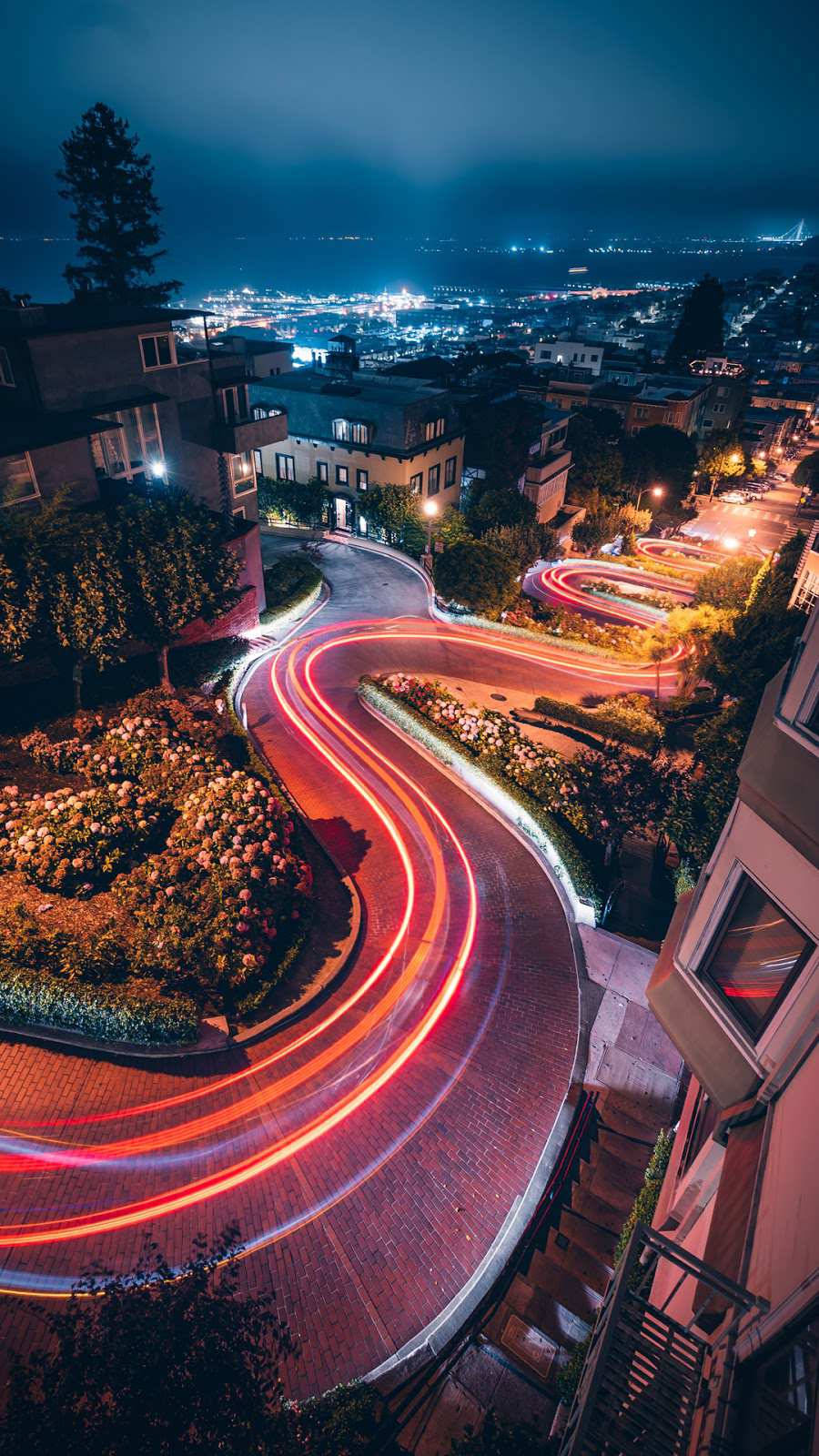加州 桌布 壁紙 — 夜晚蜿蜒的城市街道，汽車的紅色光軌在住宅樓宇和花園中蜿蜒穿行。