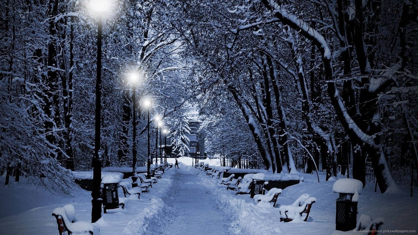 桌布 壁紙 — 夜晚被積雪覆蓋的公園小徑，由發光的街燈照亮，柔和的光線灑在積雪的樹木和長椅上。