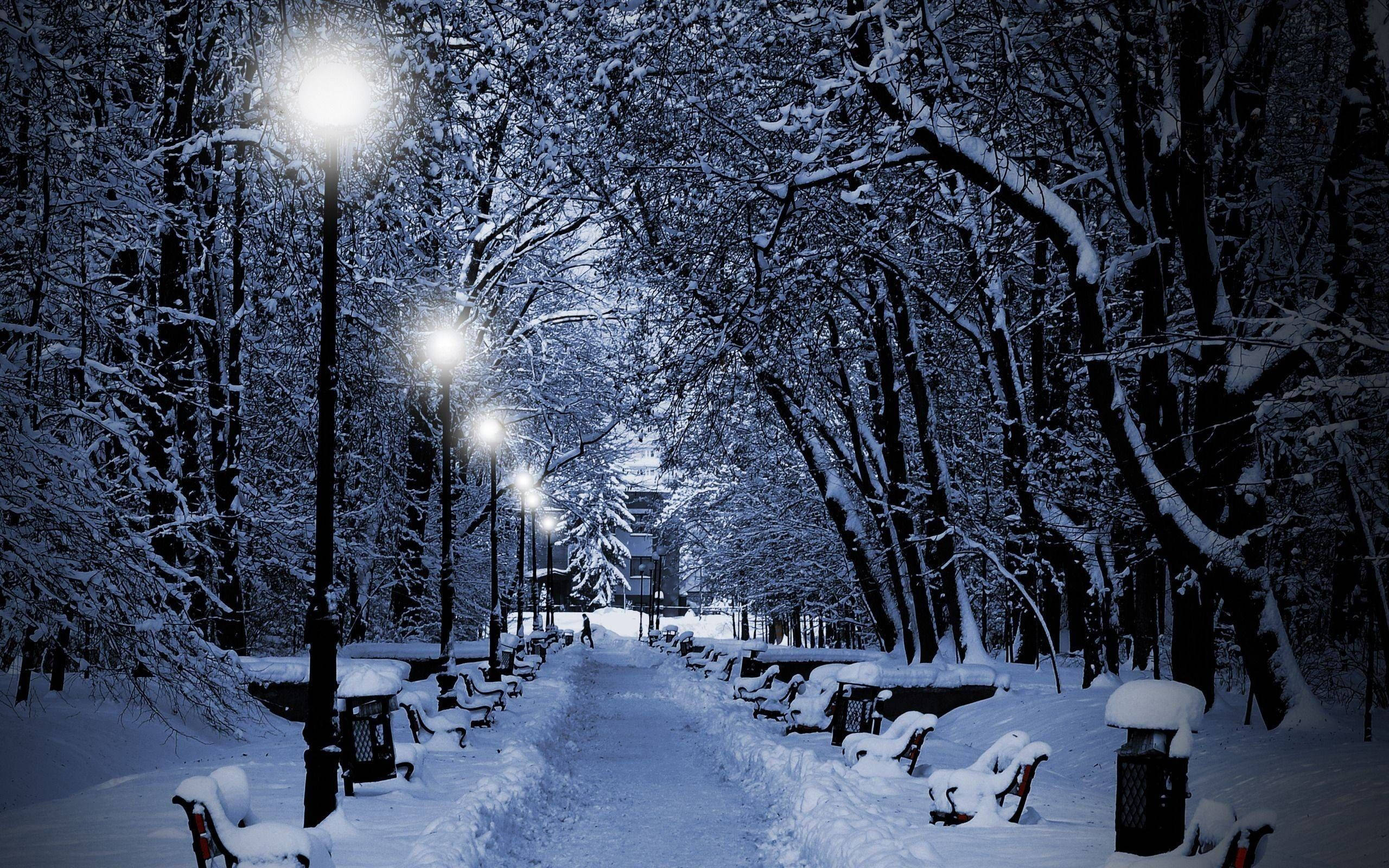 雪 桌布 壁紙 — 夜晚被雪覆蓋的公園小徑，由發光的街燈照亮，在冰凍的樹木和長椅上投射出柔和的光線。