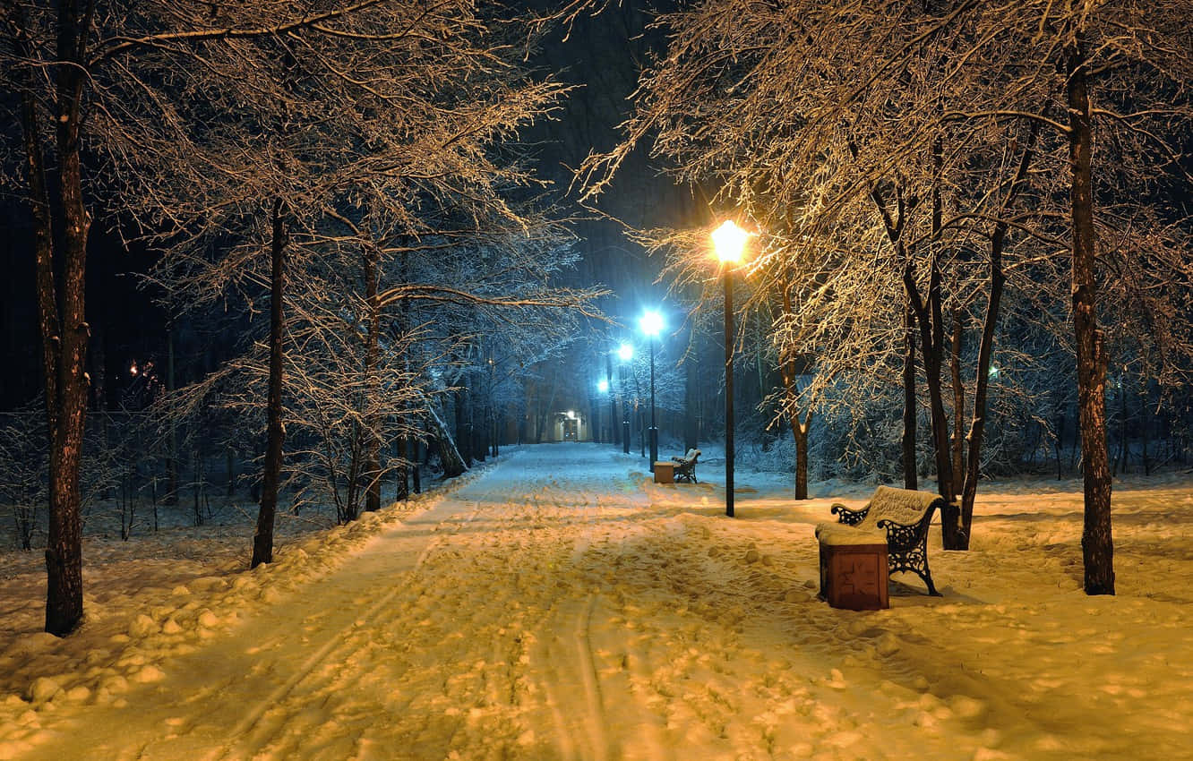 夜晚 桌布 壁紙 — 夜晚被雪覆蓋的公園小徑，被溫暖的路燈照亮，在結霜的樹木和長椅上投下金色的光芒。
