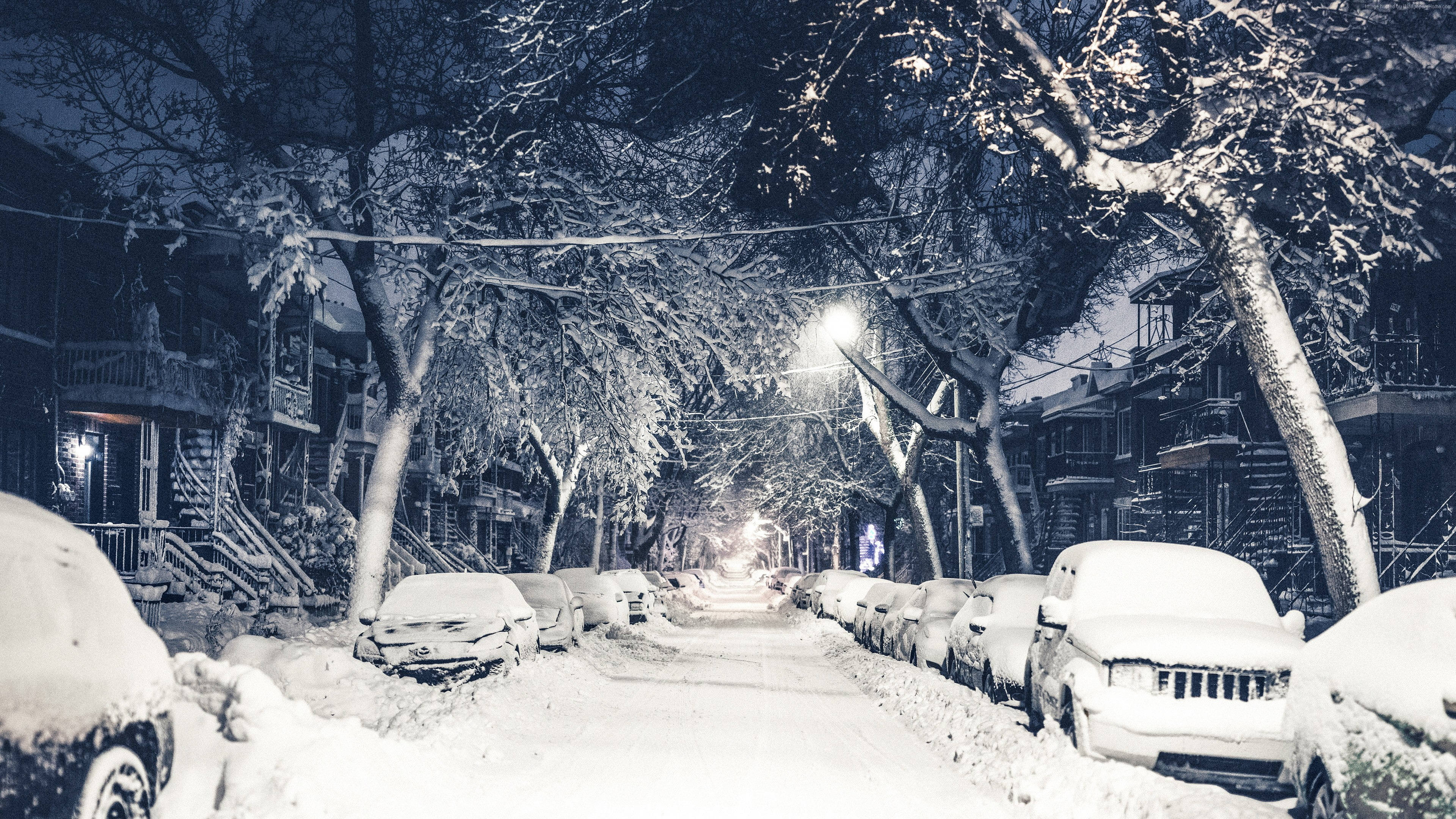 New York 桌布 壁紙 — 夜晚被雪覆蓋的城市街道，停放的汽車被埋在白雪下，光禿禿的樹木在路燈下閃爍。